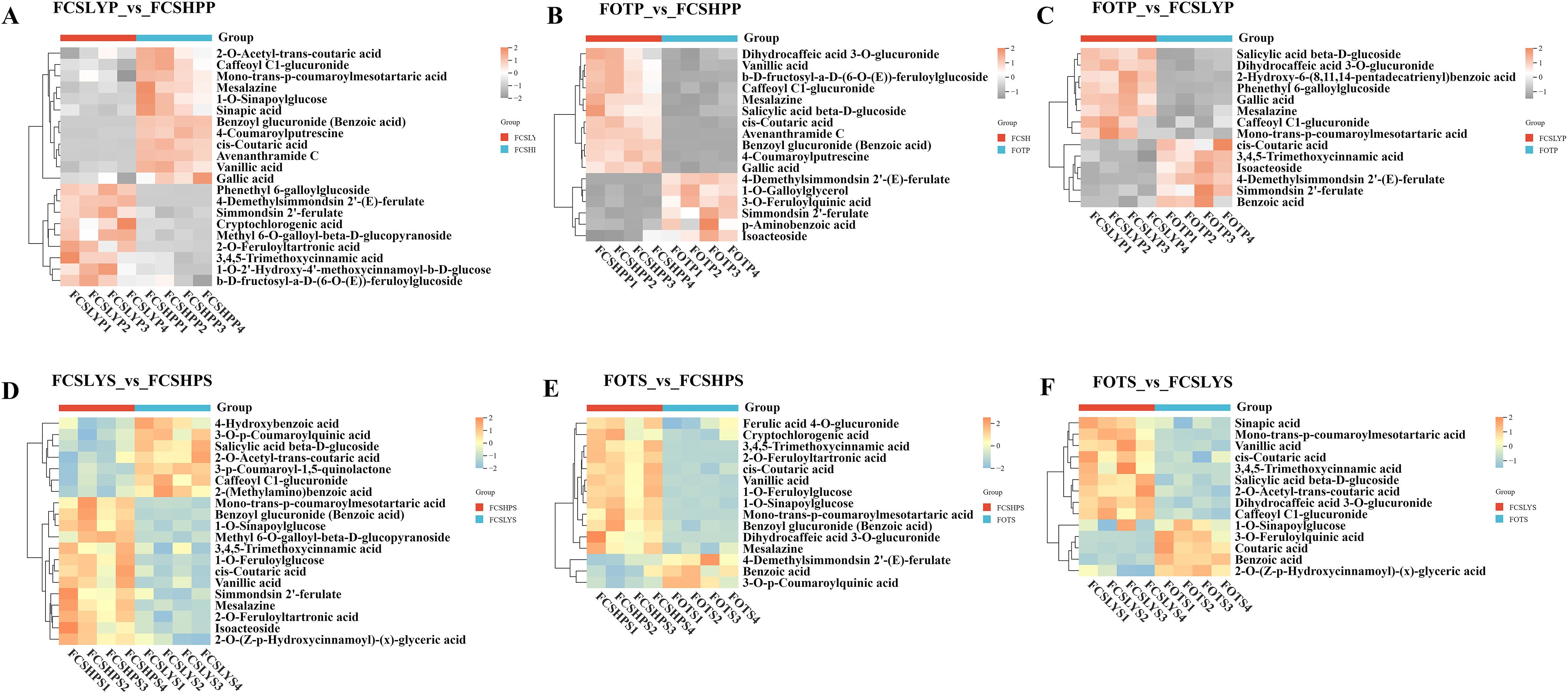 Six heatmaps labeled A to F compare different groups (FCSLYP, FCSHPP, FCSHPS, FCSLYS, FOTP, FOTS) based on phenolic acid expressions. Color scales range from red (high) to blue (low) expression levels. Each heatmap shows clustering of samples and phenolic acids, with each panel highlighting specific differences in phenolic acid profiles between the groups.