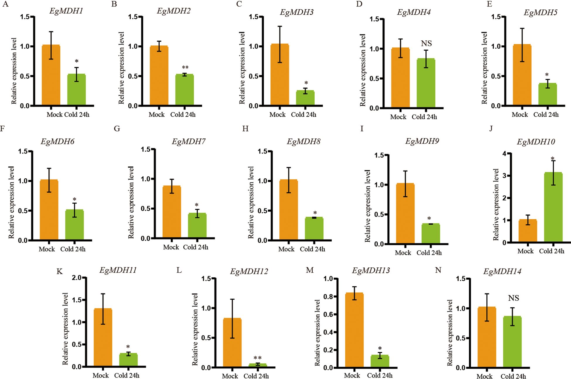 Bar charts labeled A to N compare the relative expression levels of different EgMDH genes under mock and cold conditions for 24 hours. Bars indicating mock conditions are in orange and cold conditions in green. Significant differences are marked with asterisks, showing variable expression changes across different genes.