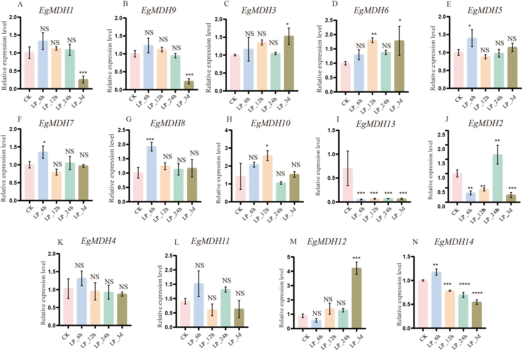 Bar graphs depict the relative expression levels of various genes (EgMDH1 to EgMDH14) under different conditions (CK, LP 6h, LP 12h, LP 24h, LP 3d). Each graph shows statistical significance (NS, *, **, ***, ****) compared to controls. Expression levels vary widely among genes and time points, indicating differential gene regulation.