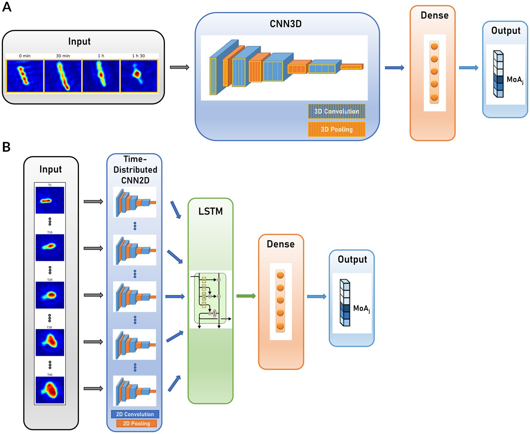 Diagram illustrating two neural network architectures for processing input data. A: Shows a 3D convolutional neural network (CNN3D) processing time-step images, followed by a dense layer to produce an output.B: Displays a time-distributed 2D convolutional neural network (CNN2D), integrating Long Short-Term Memory (LSTM) layers, followed by a dense layer leading to an output.