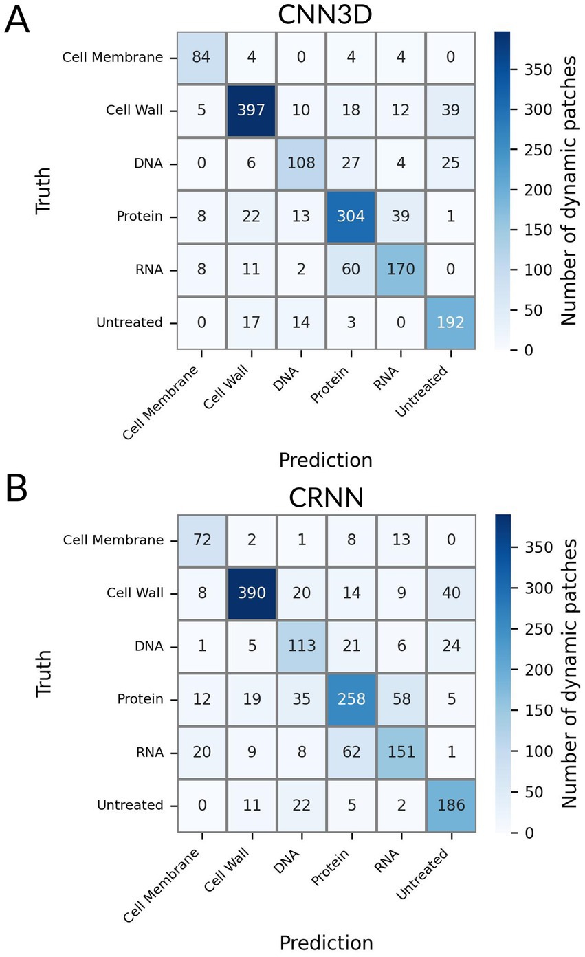 Confusion matrices of CNN3D and CRNN. In panel A, CNN3D shows predictions with values ranging from zero to three hundred ninety-seven, focusing mostly on the cell membrane and RNA. Panel B displays CRNN with values ranging similarly, emphasizing cell wall and untreated patches. Dynamic patch counts are illustrated with a blue color gradient.