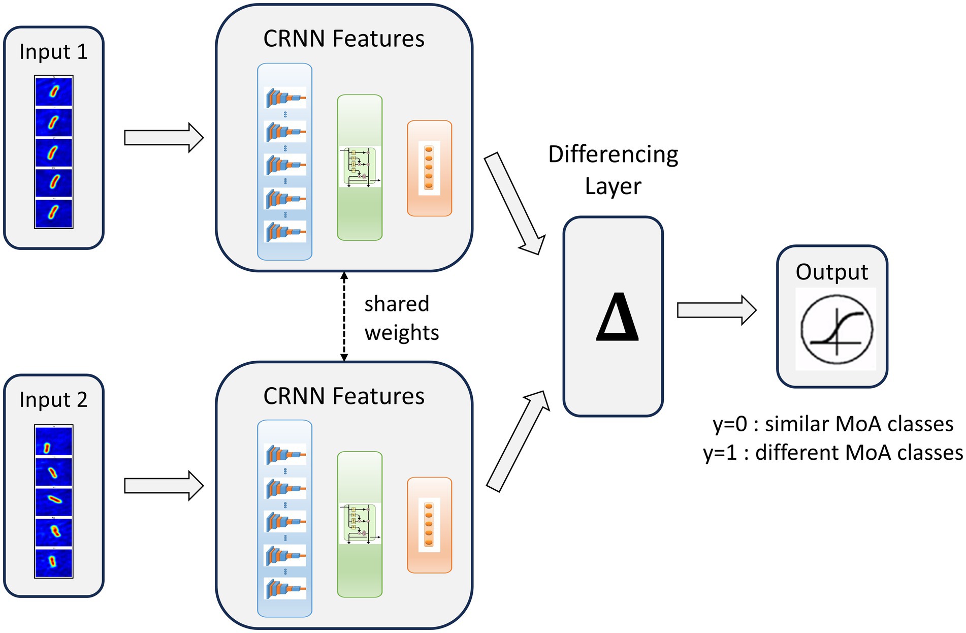 Diagram showing a Siamese neural network architecture with two inputs going into CRNN feature blocks with shared weights. After processing, features pass through a differencing layer. The output indicates similarity of MoA classes: y=0 for similar and y=1 for different.