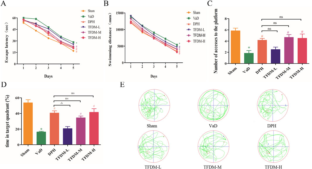 Graphs and diagrams illustrate experimental results across different groups (Sham, VaD, DPH, TFDM-L, TFDM-M, TFDM-H) related to escape latency, swimming distance, platform accesses, and time in target quadrant over days. Panel E shows trajectory diagrams for each group. Statistical significance is indicated by symbols (*, #, ns, △).