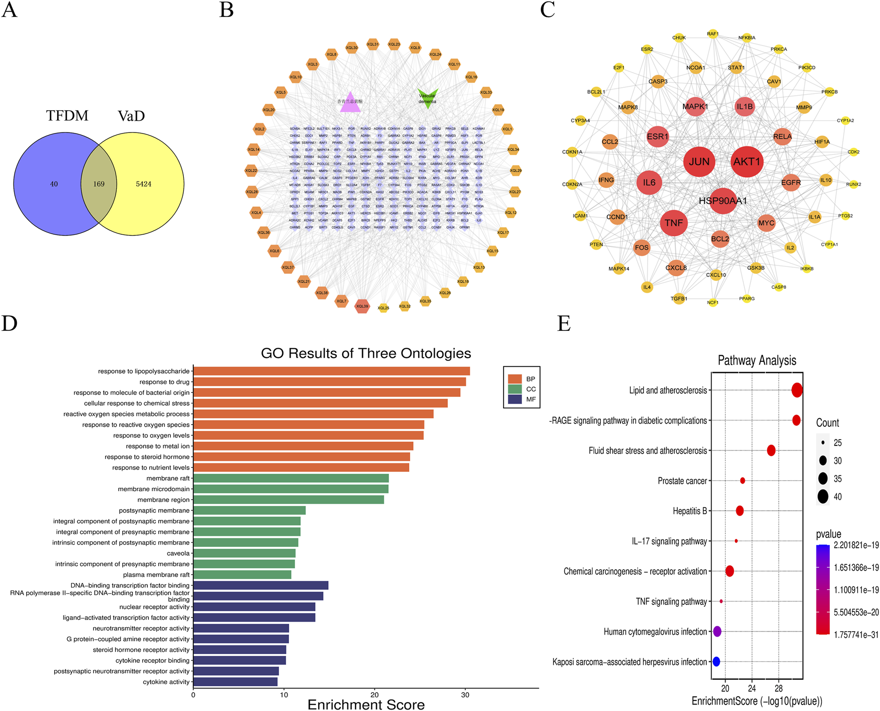 A composite graphic includes: A) A Venn diagram showing overlap between TFDM and VaD with 40 unique in TFDM, 169 in common, and 5424 unique in VaD. B) A network diagram highlighting nodes and connections in orange and purple. C) Another network diagram emphasizing key nodes like JUN and AKT1 in red. D) A bar graph of GO results, categorizing biological processes, cellular components, and molecular functions by enrichment score. E) A pathway analysis bubble chart illustrating lipid and atherosclerosis, IL-17 signaling, and more, with color coding for -log10(p-value).