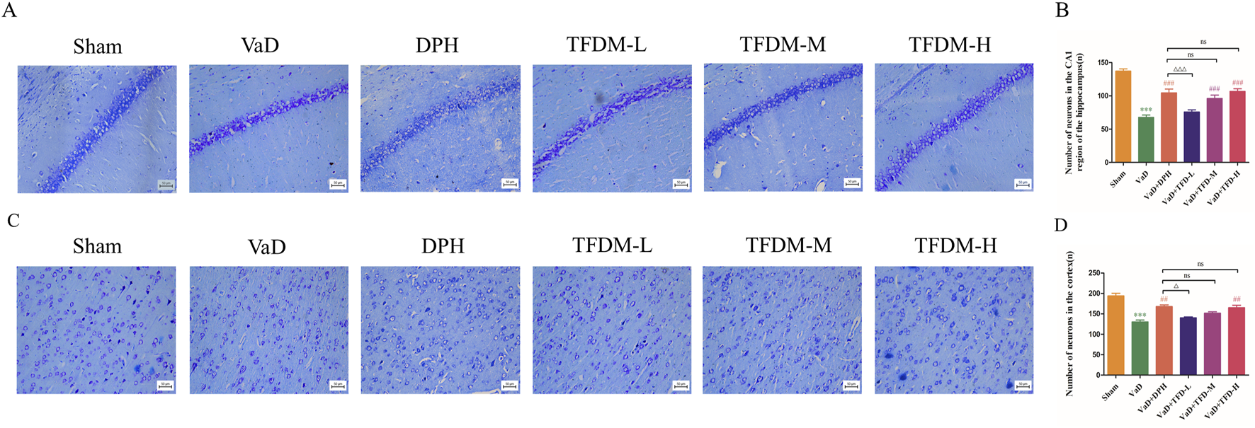 Microscope images and bar graphs depict a study on neuron count in brain regions. Panels A and C show histological sections labeled Sham, VaD, DPH, TFDM-L, TFDM-M, and TFDM-H. Panels B and D feature bar graphs illustrating neuron counts in the hippocampus and cortex, respectively, with statistical annotations shown by stars and hashes.