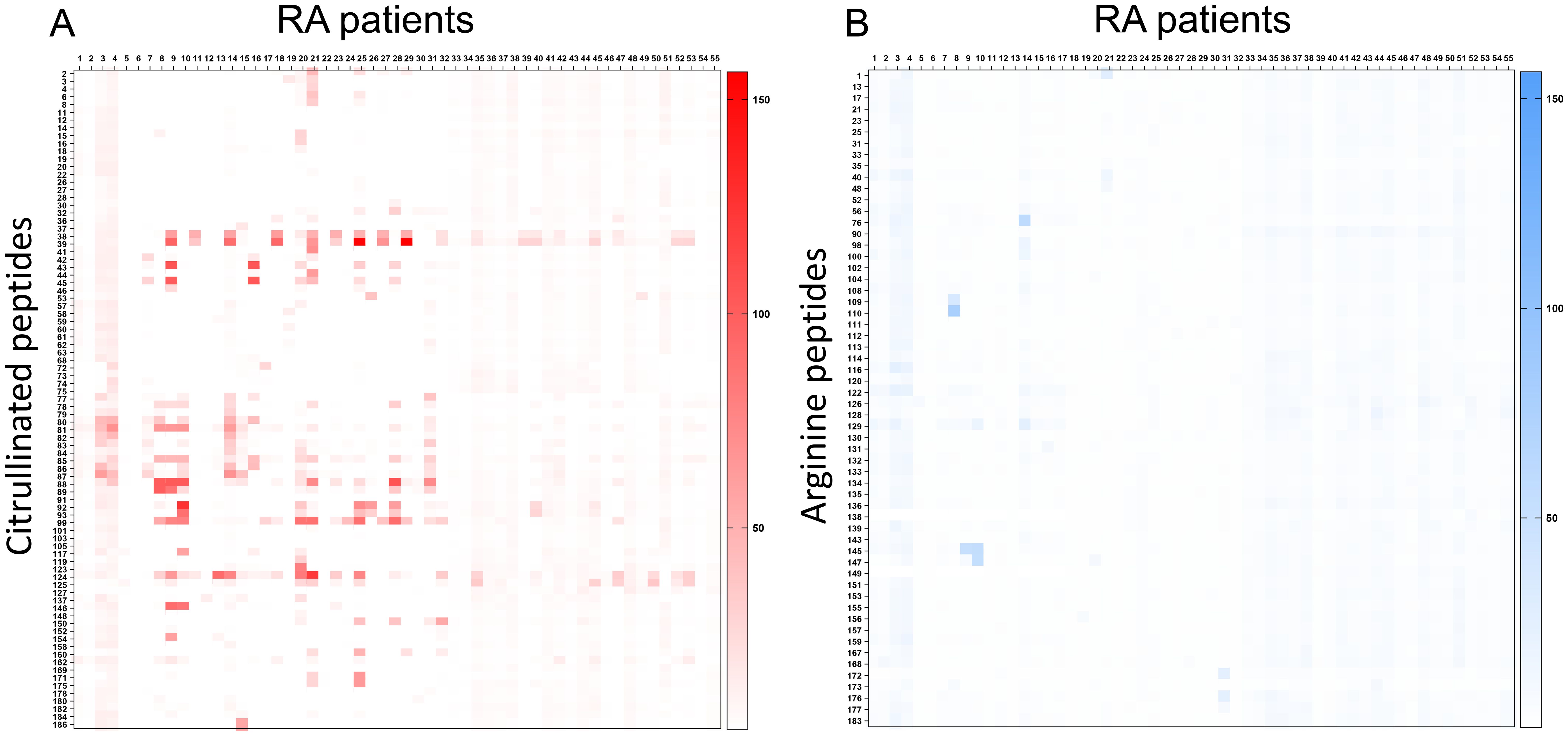 Two heat maps, labeled A and B, compare IgG reactivity in RA patients to, respectively, citrullinated peptides and arginine peptides. Map A features red gradients indicating higher reactivity to citrullinated peptides, while Map B uses blue gradients to show higher reactivity to arginine peptides. Each map includes patient identifiers and a scale for intensity.