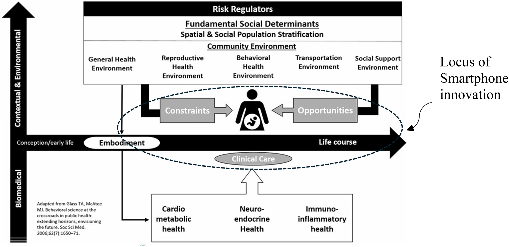 Diagram showing the interplay between risk regulators, social determinants, and community environments impacting constraints and opportunities across the life course. It highlights biomedical areas such as cardiometabolic, neuroendocrine, and immuno-inflammatory health, with an emphasis on the role of smartphone innovation. Arrows indicate interactions between constraints, opportunities, and early life embodiment.