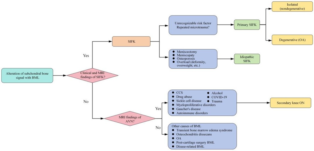 Flowchart analyzing subchondral bone signal alterations with BML. It begins with assessing clinical and MRI findings for SIFK. Based on the presence of these findings, it branches into SIFK or MRI findings of AVN. SIFK further divides by primary or idiopathic causes, involving factors like meniscectomy, osteoporosis, and repeated microtrauma. MRI findings for AVN consider factors like CCS, drug abuse, and COVID-19 in determining secondary knee ON. Additional causes of BML include transient bone marrow edema syndrome and disuse-related BML.