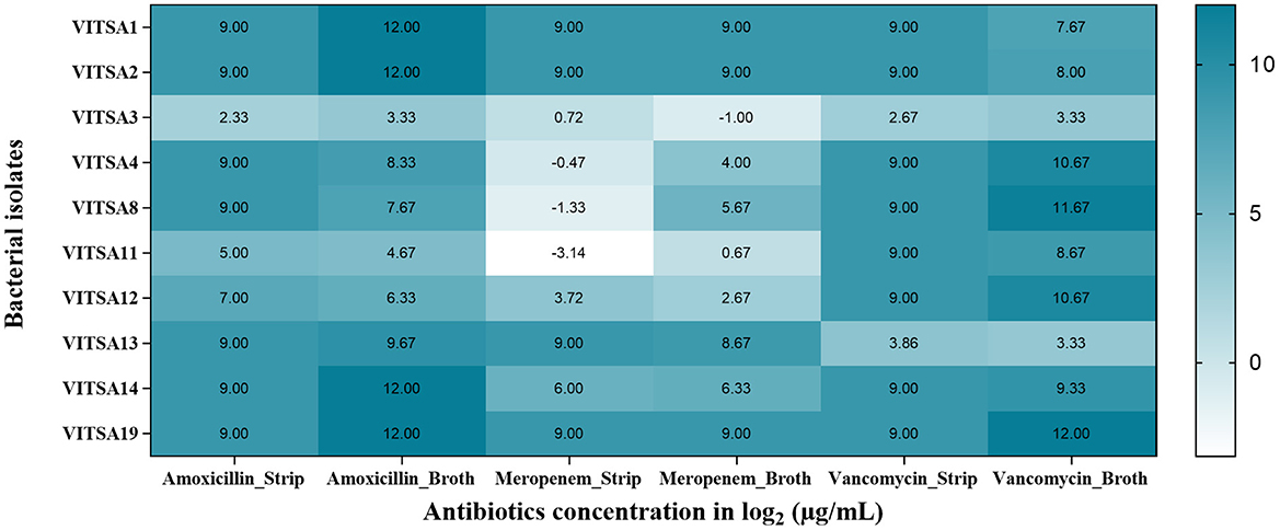 Heatmap showing the antibiotic concentration in log base 2 micrograms per milliliter for various bacterial isolates. Rows represent isolates (e.g., VITSA1, VITSA2, VITSA3, VITSA4, VITSA8, VITSA11, VITSA12, VITSA13, VITSA14 and VITSA19) and columns represent antibiotic treatments (Amoxicillin, Meropenem, Vancomycin in strip and broth forms). Color intensity indicates concentration levels, with a scale from 0 to 12 on the right.