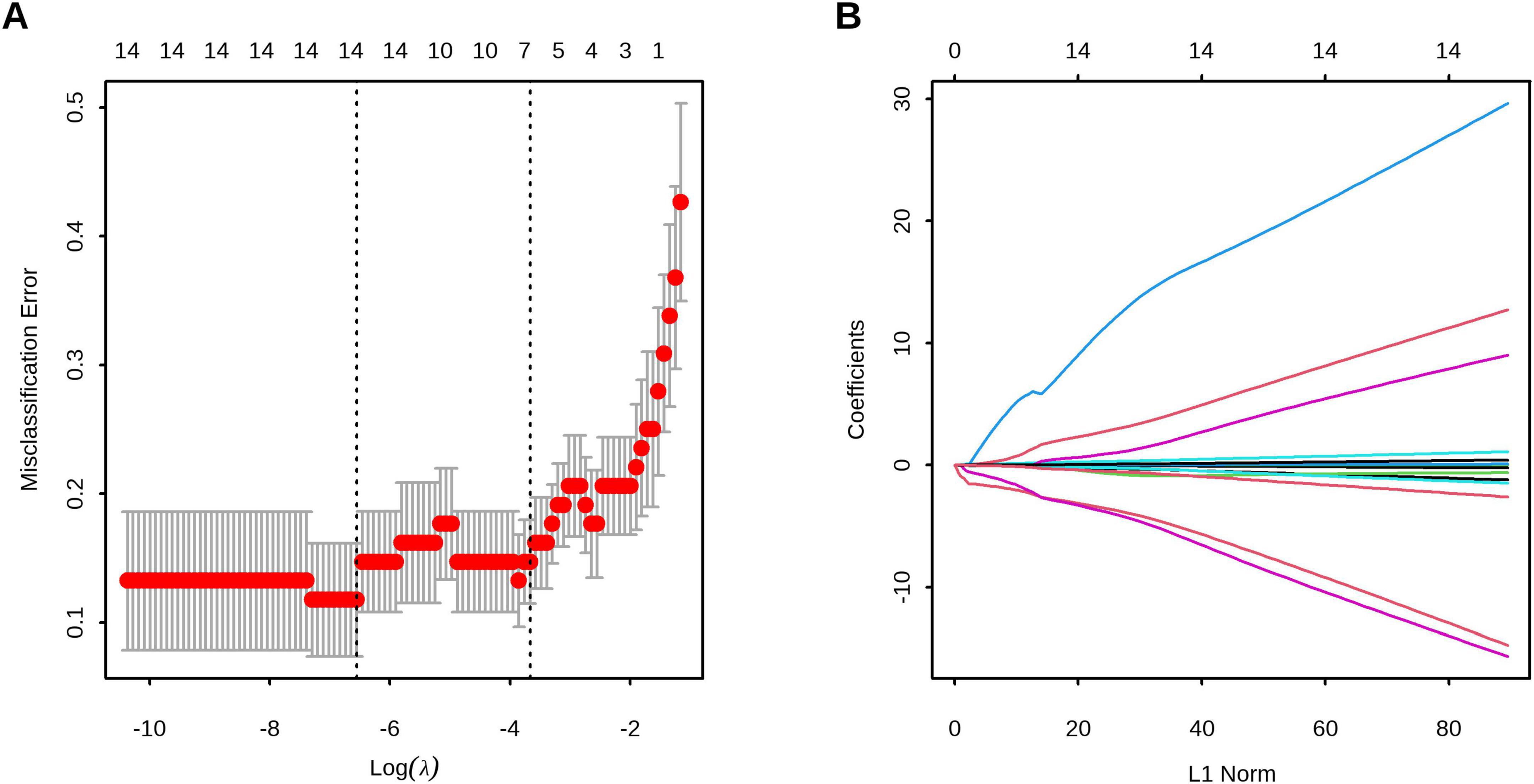 Graph A shows a plot of misclassification error versus log lambda (λ), with red points indicating data and error bars representing variability. Graph B depicts coefficients against L1 norm, illustrating paths for multiple variables extended from a central point. Both graphs illustrate model selection and regularization processes.