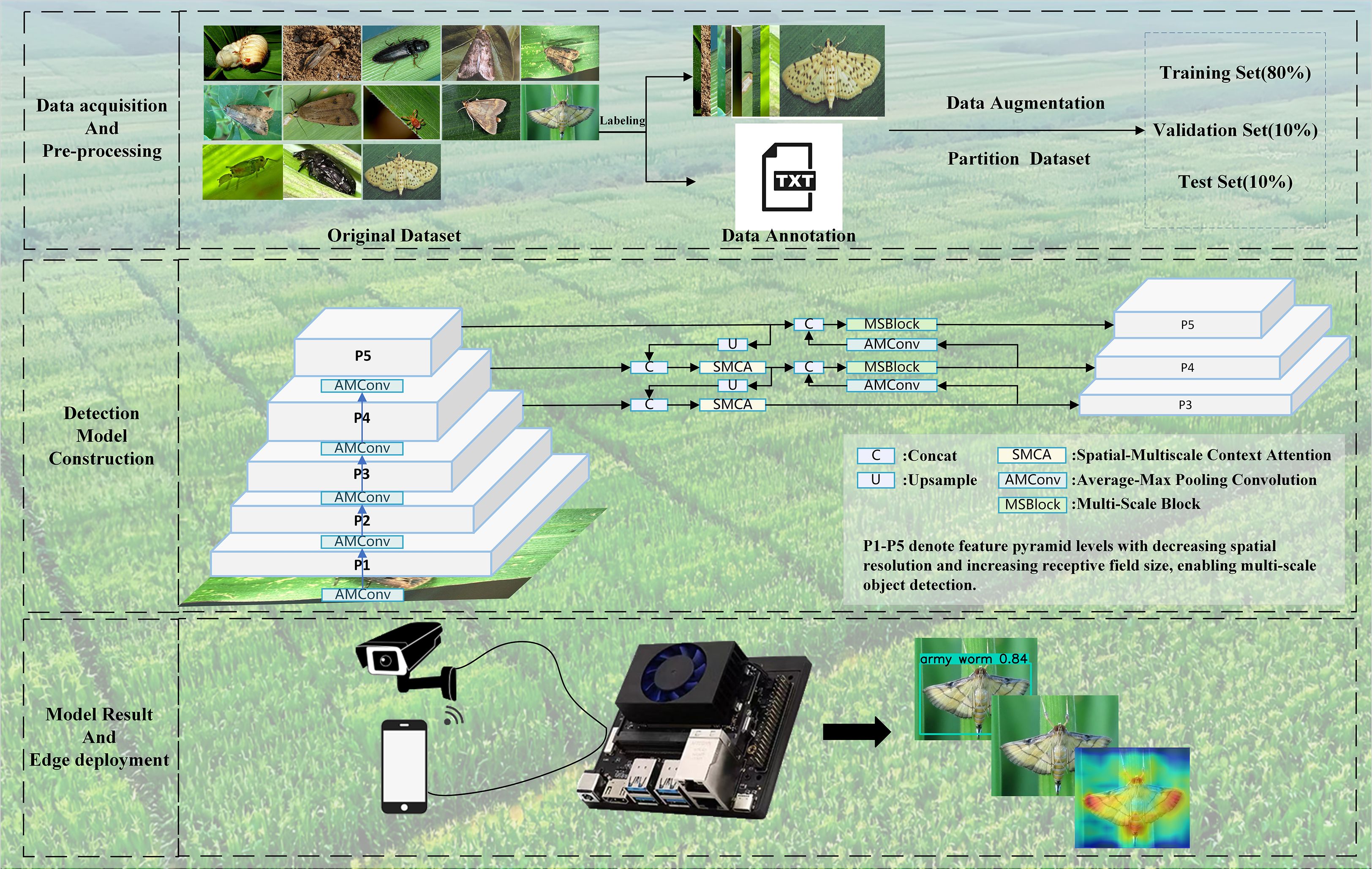 Flowchart illustrating an insect detection system. Top left shows data acquisition with insect images leading to data annotation. Top right shows dataset partitioning into training (80 percent), validation (10 percent), and test sets (10 percent). Center depicts detection model construction with feature pyramid levels and processing blocks, including concatenation, upsampling, and attention mechanisms. Bottom section illustrates model deployment with a camera, connected to a processing unit, identifying insects like army worms on a screen.