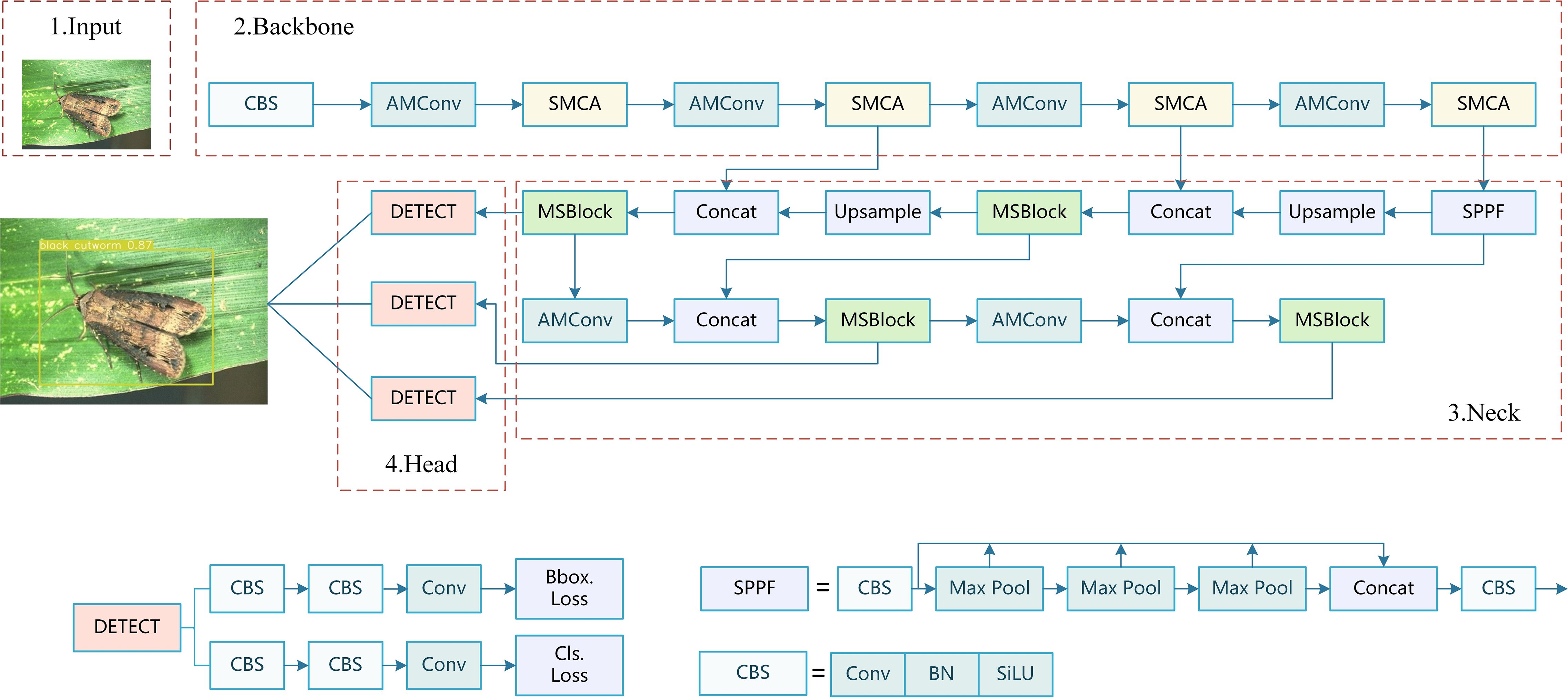 Flowchart illustrating a neural network architecture for detecting a black cutworm in an image of a leaf. The process is divided into four stages: Input, Backbone, Neck, and Head. The Backbone consists of AMConv and SMCA layers, followed by the Neck with components like Concat and MSBlock. The Head leads to DETECT blocks, showing classification and bounding box loss calculations. The image of the leaf includes a rectangle highlighting the black cutworm with a confidence score of 0.87.