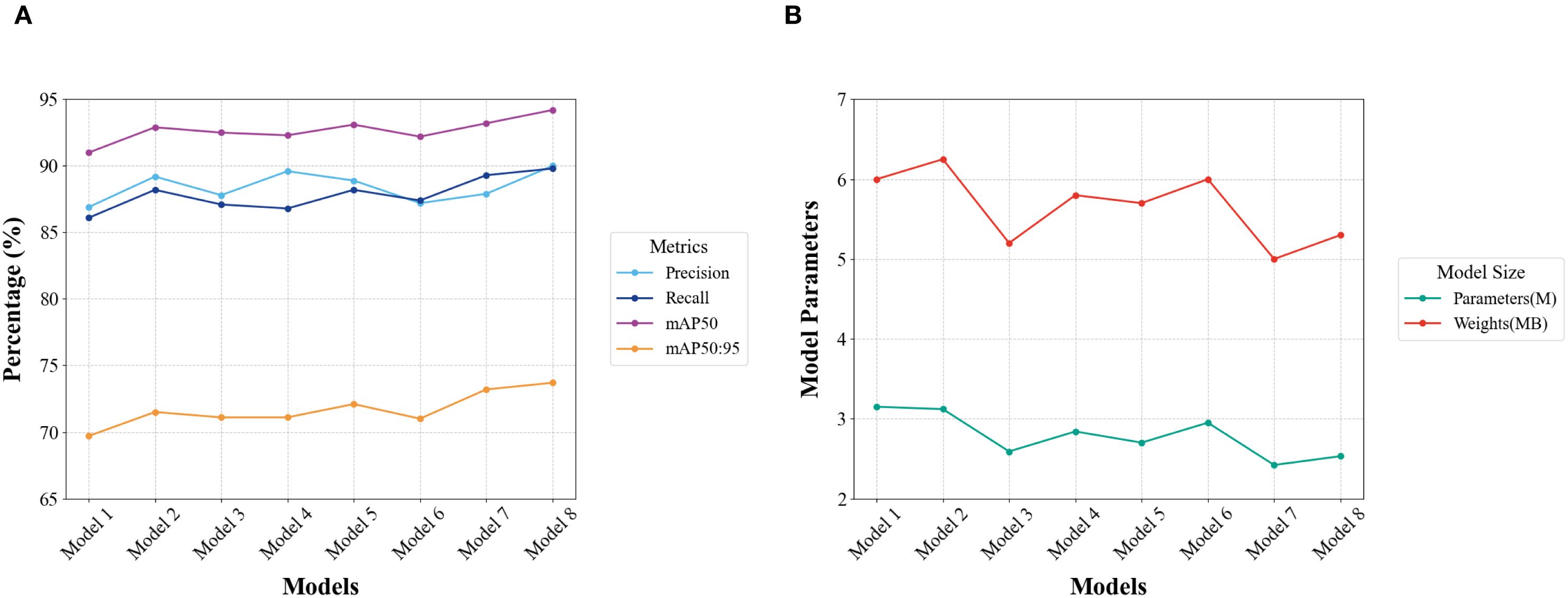 Panel A shows a line graph with model performance metrics across eight models. Precision, recall, mAP50, and mAP50:95 range from 65% to 95%. Panel B displays a line graph of model size, indicating parameters and weights between two and seven units across the same models.