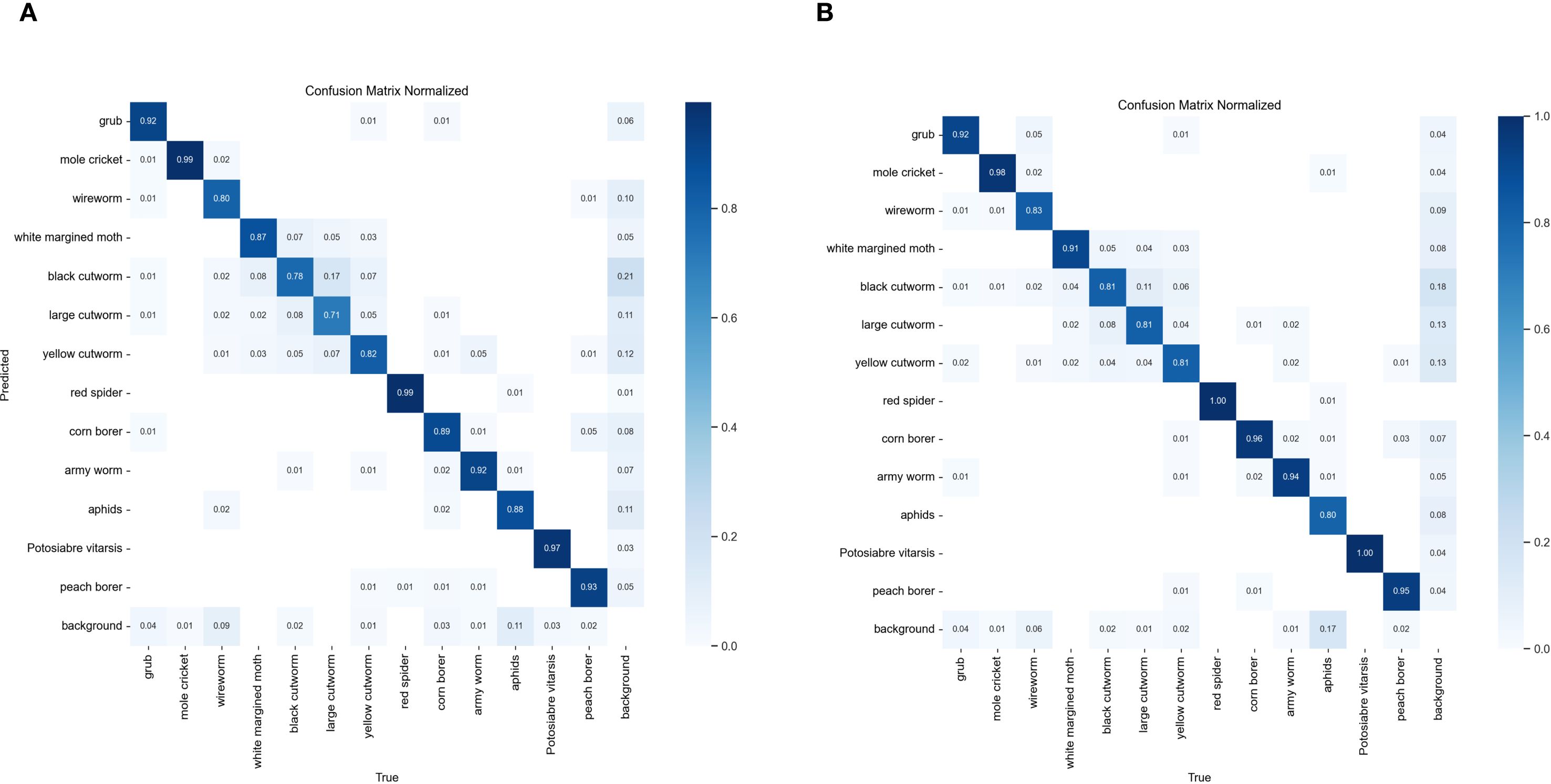 Two confusion matrices labeled A and B, showing predicted versus true classifications for different insect types. Each matrix is normalized, with color gradients indicating accuracy levels from light blue (low accuracy) to dark blue (high accuracy). The diagonal represents correct predictions. Both matrices include categories like grub, mole cricket, wireworm, and others, with corresponding accuracy values displayed in each cell. Legends on the right provide color scales from 0.0 to 1.0.
