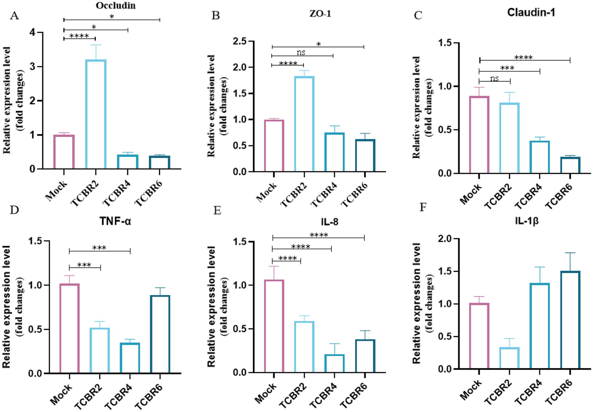 Bar graphs showing relative expression levels of various genes: A) Occludin shows a significant increase in TCBR2 compared to others. B) ZO-1 has a significant increase in TCBR2. C) Claudin-1 is highest in the mock group. D) TNF-α decreases significantly in TCBR2 and TCBR4. E) IL-8 shows a significant decrease in TCBR groups. F) IL-1β expression levels are similar across all groups. Statistical significance is marked by asterisks.
