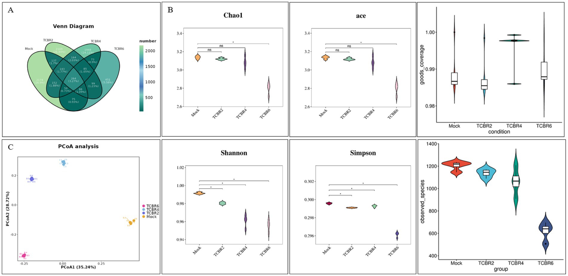 Panel A shows a Venn diagram illustrating overlaps among groups labeled Mock, TCBR2, TCBR4, and TCBR6, with a color gradient indicating numbers. Panel B consists of violin plots showing Chao1 and ACE diversity indices, and goods coverage analysis across four conditions. Panel C includes a PCoA plot displaying microbial community differences and violin plots for Shannon and Simpson indices, along with observed species across groups.