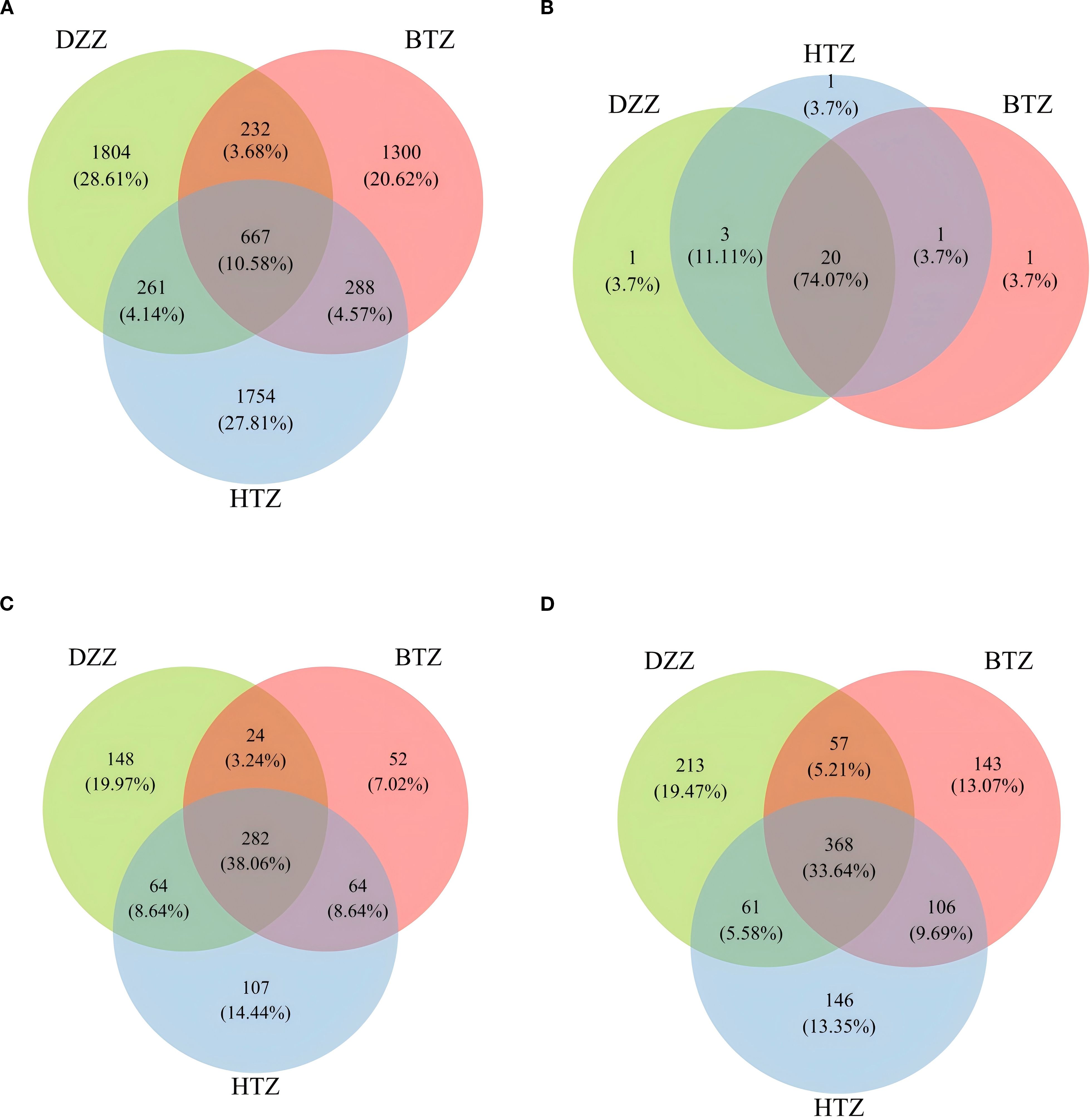 Four Venn diagrams labeled A, B, C, and D compare the overlap of three groups: DZZ (green), BTZ (red), and HTZ (blue). Diagram A shows significant overlap with 667 elements common across all groups. Diagram B has twenty elements common to all groups, with minimal overlap otherwise. Diagram C features 282 elements common to all groups, while Diagram D shows 368 elements in common. Each section includes numbers and percentages, illustrating the distribution across the sets.