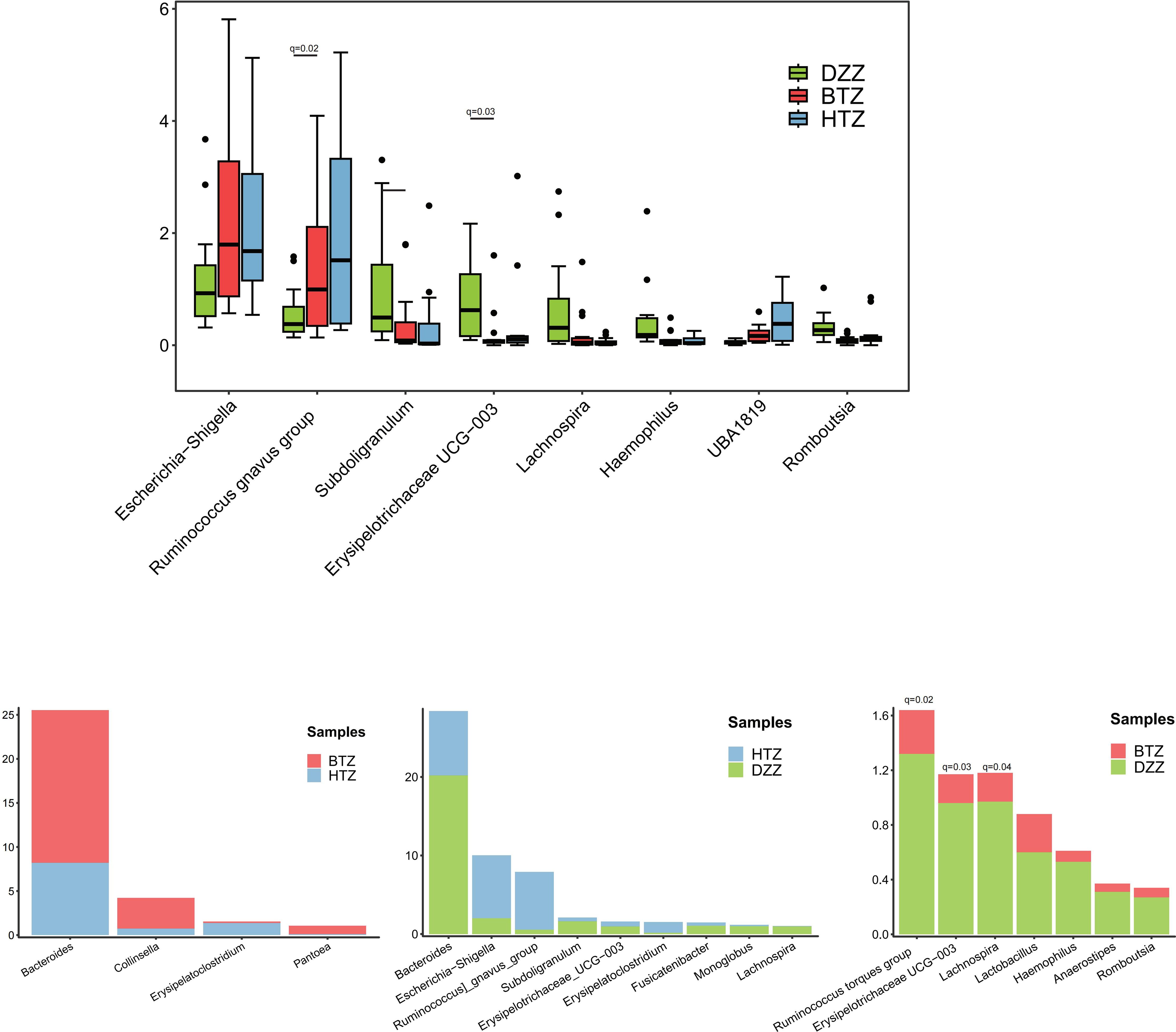 Box plots and bar charts comparing microbial abundance across different groups labeled DZZ, BTZ, and HTZ. The top box plot shows bacteria types like Escherichia-Shigella, with statistical significance indicated for some comparisons. The bar charts below depict sample breakdowns and abundance levels for bacteria like Bacteroides and Ruminococcus, with specific emphasis on differences between groups.