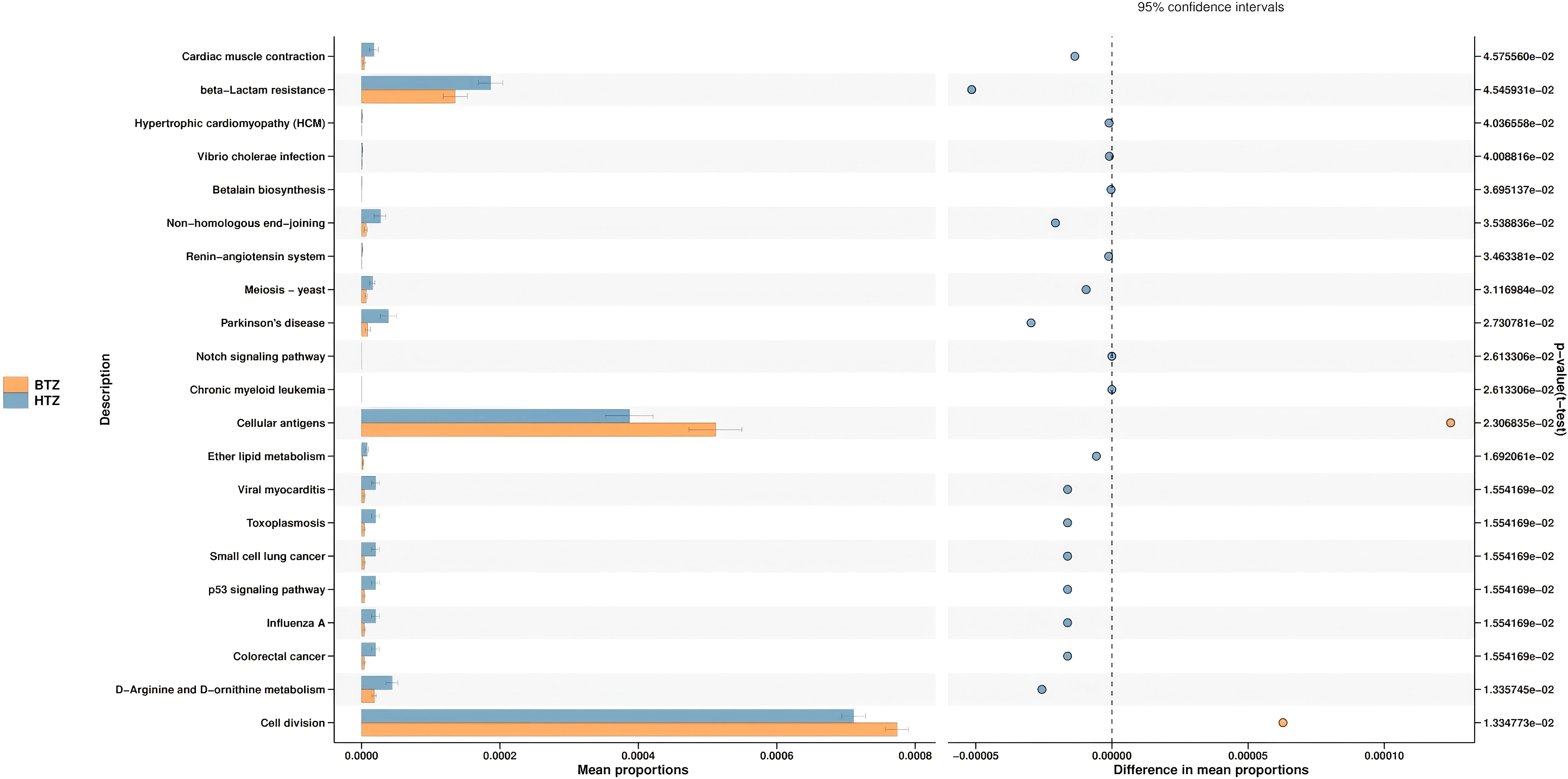 Bar chart comparing mean proportions across various descriptions for BTZ (orange) and HTZ (blue). Categories include cardiac muscle contraction, beta-lactam resistance, hypertrophic cardiomyopathy, and more. Right side shows 95 percent confidence intervals with p-values.