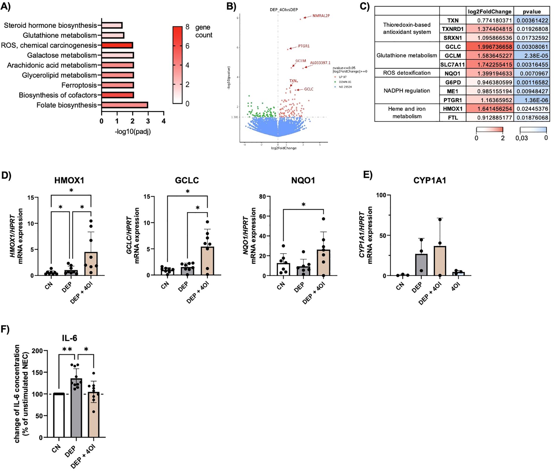 Figure with six panels showing various data visualizations. A) Bar chart of gene counts for metabolic processes with color gradient representing gene count. B) Scatter plot showing differentially expressed genes, highlighting specific genes with labels. C) Table listing genes and pathways with log2 fold change and p-values. D) Bar plots of mRNA expression levels for HMOX1, GCLC, and NQO1, with significant changes indicated. E) Bar plot of CYP1A1 mRNA expression levels. F) Bar plot showing IL-6 concentration changes with significant differences. Statistical significance is marked with asterisks.