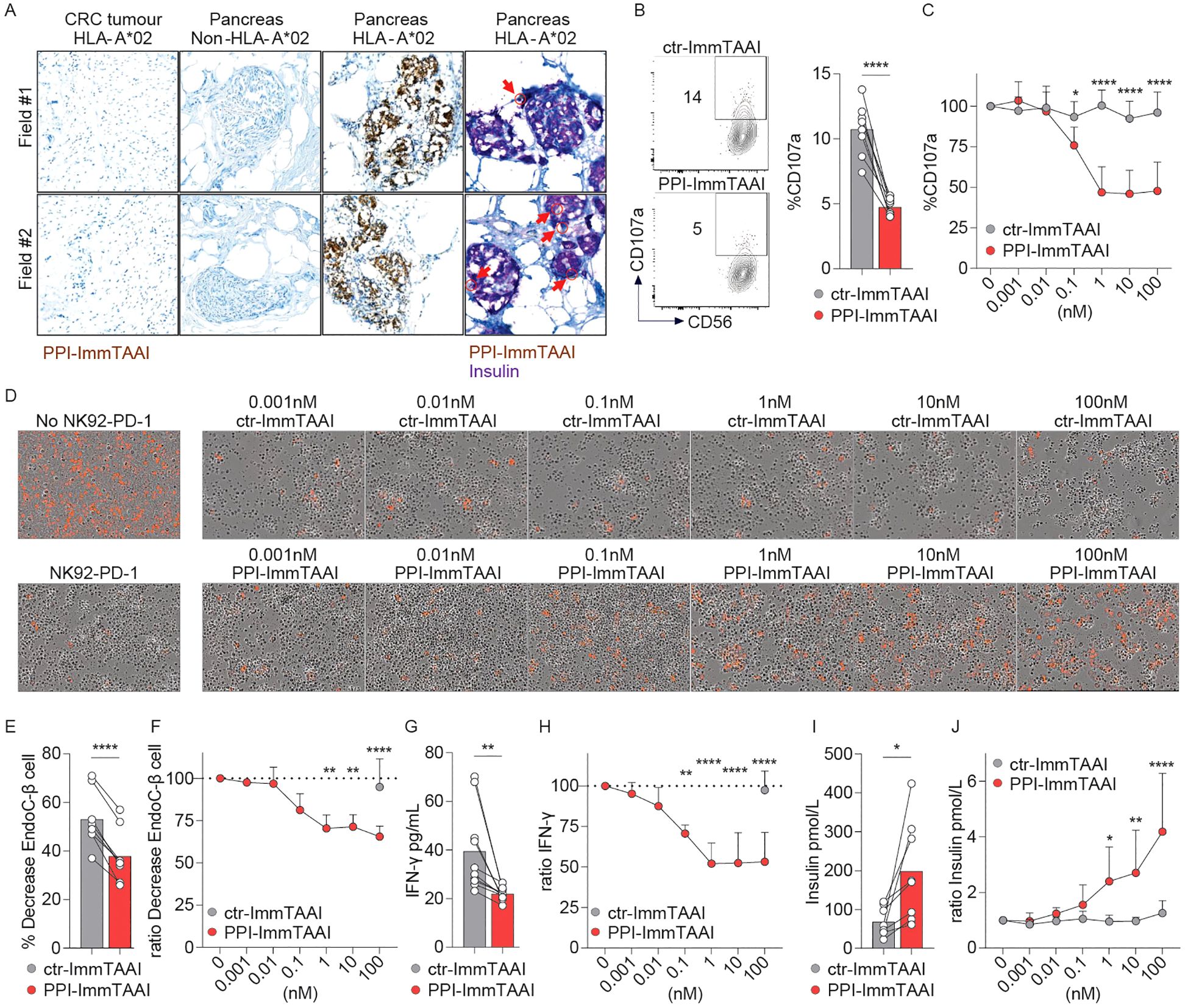 Images illustrating scientific data and experiments related to PPI-ImmTAAI versus ctr-ImmTAAI impact on pancreatic tissues and immune responses. Panels A through J show various analyses including tissue staining, flow cytometry plots, cell activity images, and graphs comparing metrics such as CD107a expression, EndoCbH1 cell decrease, IFN-g levels, and insulin production across varying concentrations. Differences between treatments are indicated, with statistical significance denoted by asterisks.