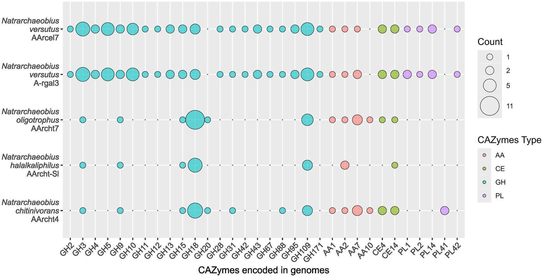 Bubble chart displaying CAZymes encoded in genomes of four Natrarchaeobius species. The x-axis lists CAZymes, while the y-axis shows species names. Bubbles represent counts, color-coded for CAZymes types: AA, CE, GH, and PL.