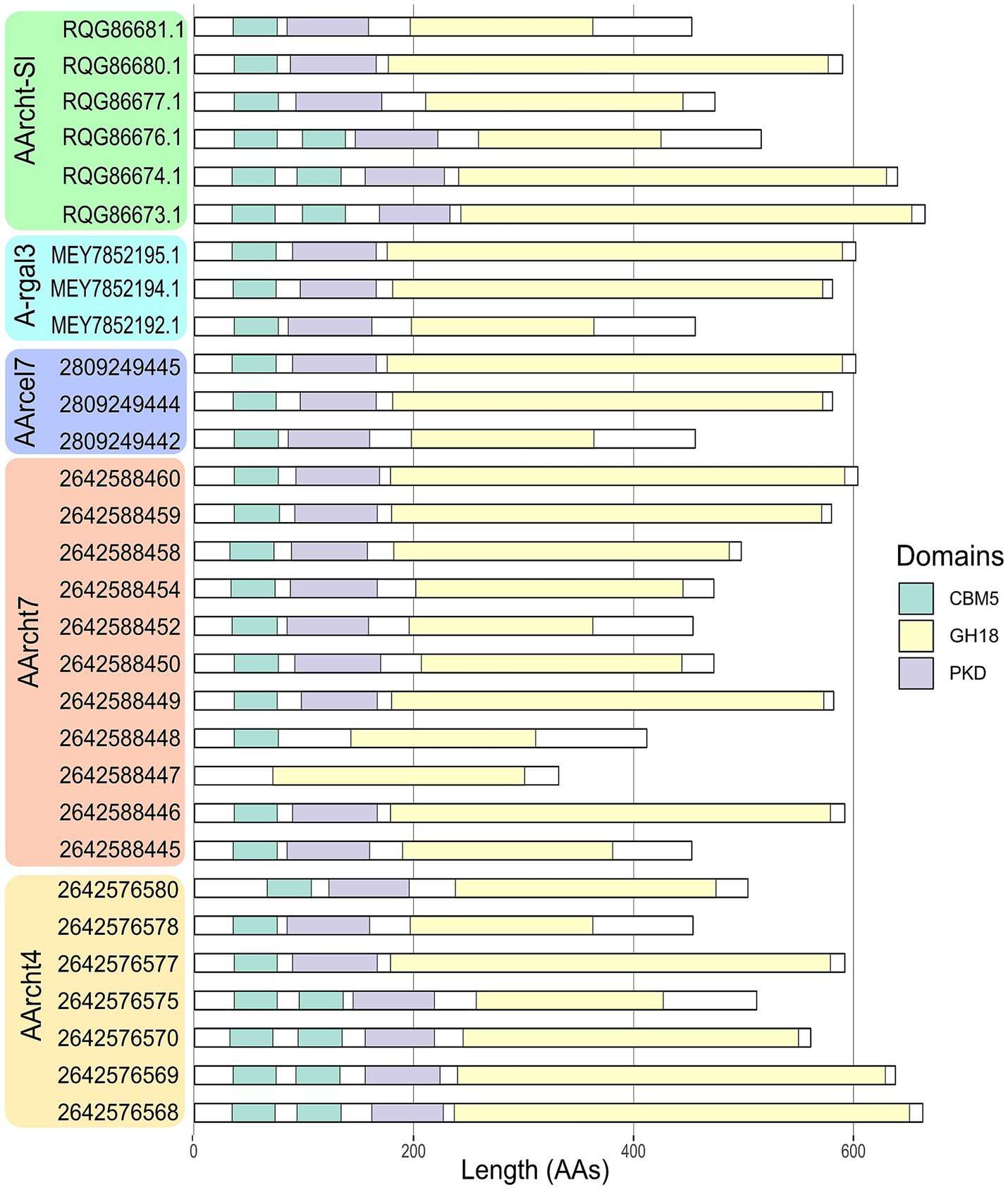 Figure showing domain organization of chitinases encoded in genomes of strains AArcht-Sl, A-rgal3, AArcel7, AArcht7, and AArcht4. Each sequence, identified by a specific code, depicts length in amino acids and includes domains CBM5 (green), GH18 (yellow), and PKD (purple).
