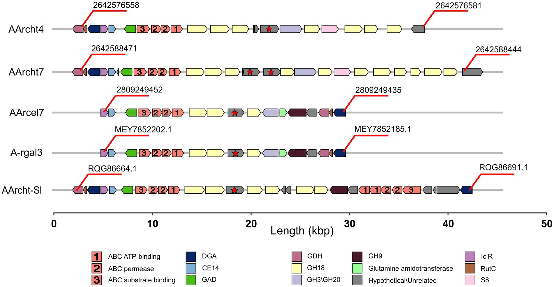 Clusters for chitinases genes and co-located genes are displayed with labeled colored arrows indicating different gene types and positions along a 50 kbp scale. Each object includes unique identifiers; a legend explains the color codes for ABC ATP-binding, permease, and other gene functions.