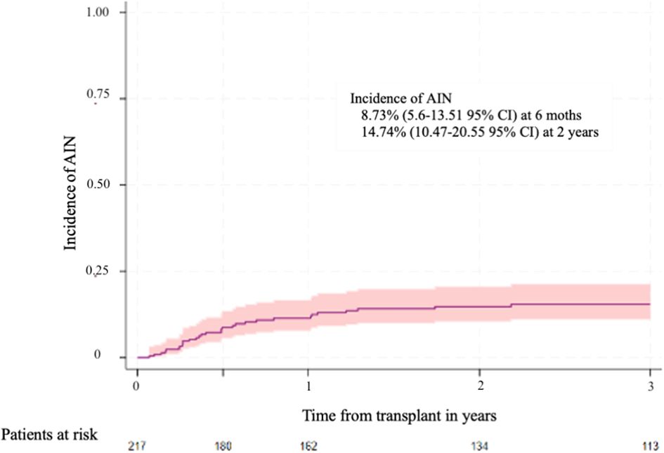 Line graph showing the incidence of AIN over time from transplant in years. The incidence is 8.73 percent at six months and 14.74 percent at two years, with corresponding 95 percent confidence intervals. The shaded area represents confidence intervals. The number of patients at risk decreases from 217 to 113 over three years.