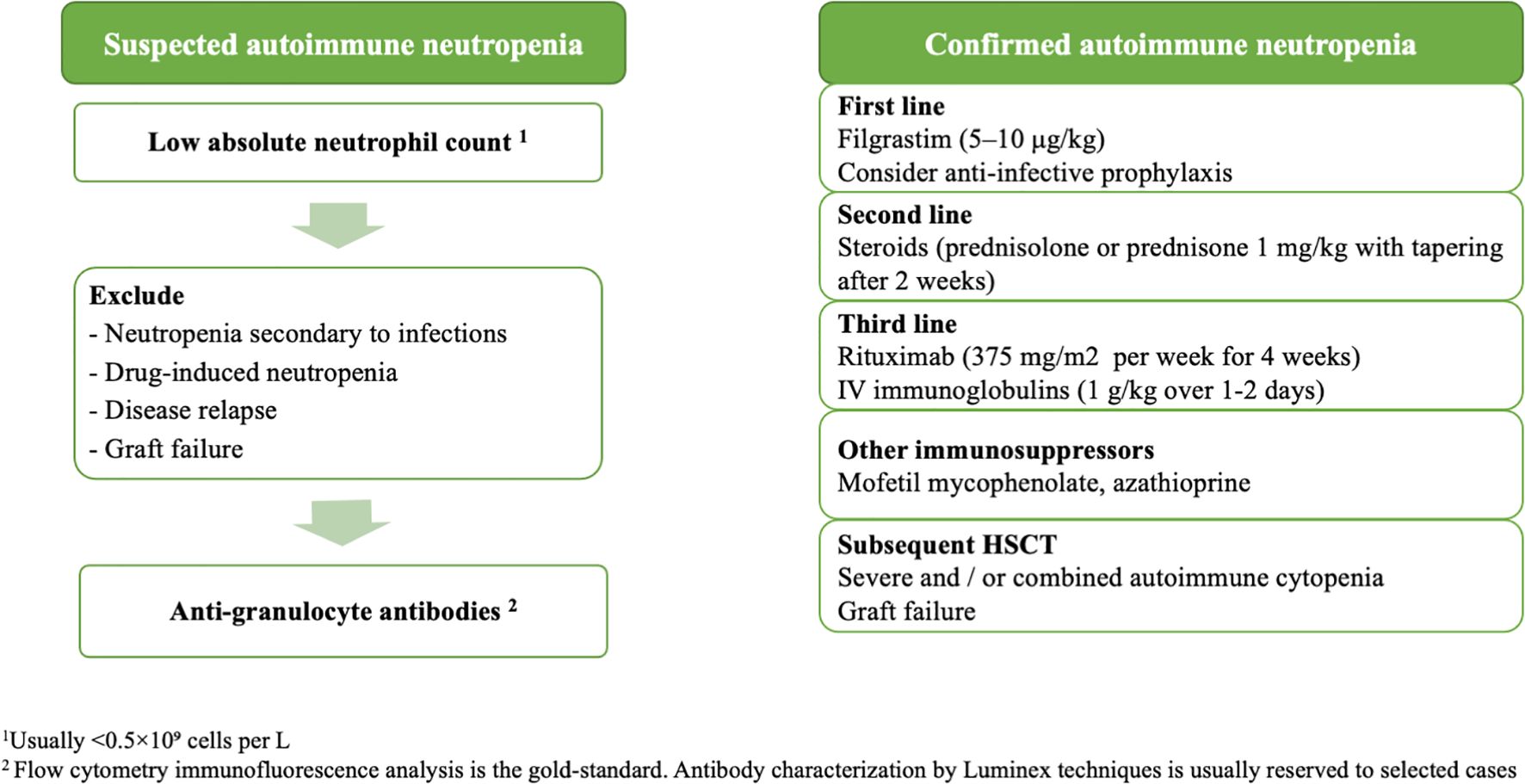 Flowchart illustrating the diagnosis and treatment approach for autoimmune neutropenia. It begins with suspected cases indicated by low absolute neutrophil count. Exclusion of secondary neutropenia causes follows, such as infections and drug-induced issues. Confirmed cases proceed with first-line treatment using Filgrastim, followed by steroids, Rituximab, IV immunoglobulins, other immunosuppressors like Mofetil mycophenolate, and azathioprine. In severe cases, HSCT is considered. Additional notes mention cell count and antibody detection methods.