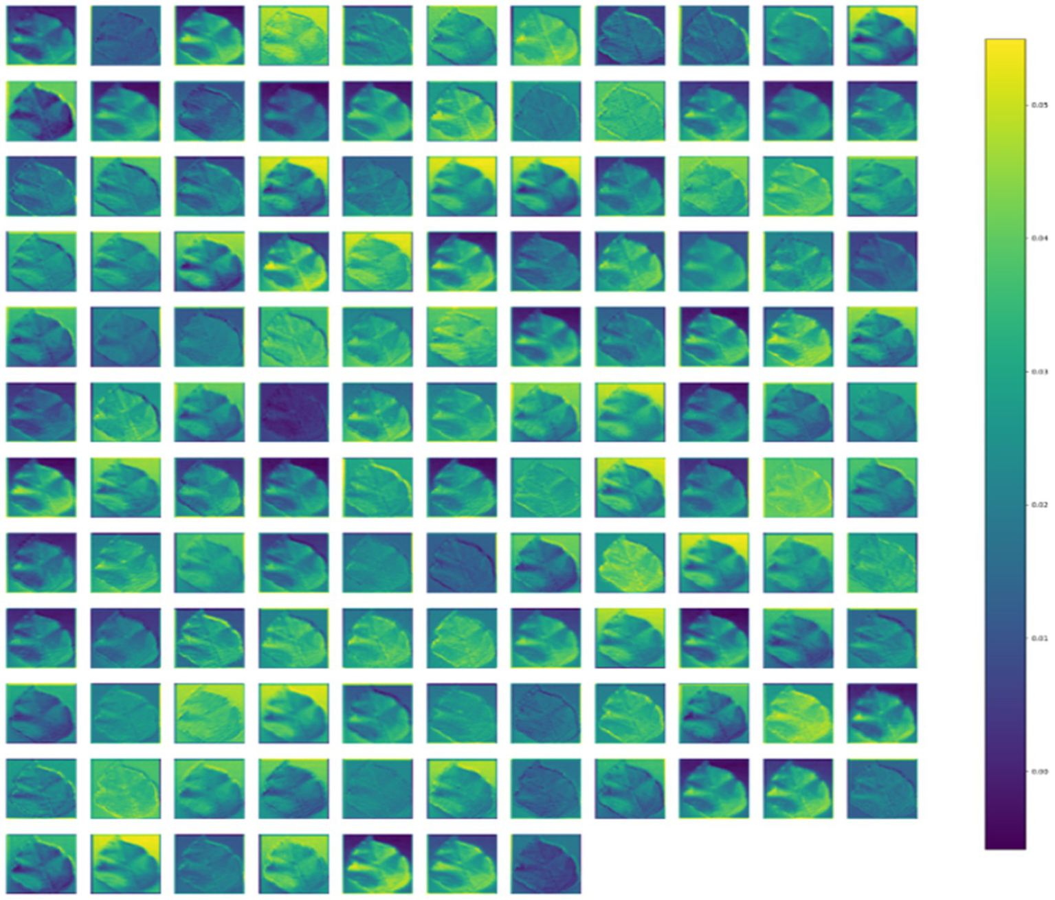Grid of leaf images with a color scale from dark blue to yellow. Each image displays varying patterns and hues, analyzed on a vertical color bar from 0.02 to 0.05 on the right.