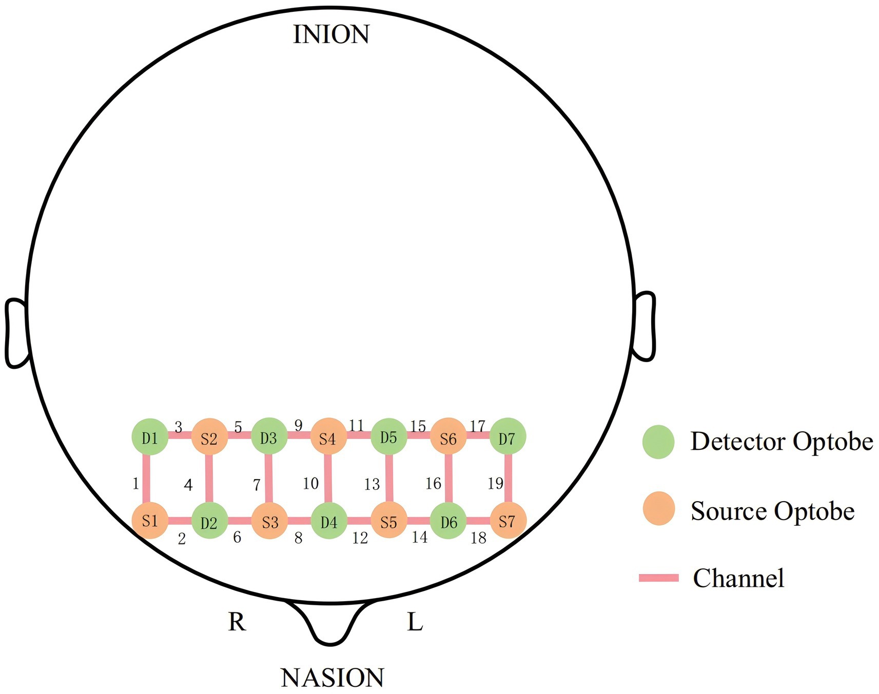 Diagram of a head with positions for a near-infrared spectroscopy (fNIRS) setup. Green circles (Detector Optobes) and orange circles (Source Optobes) are connected by red lines (Channels). Labels include