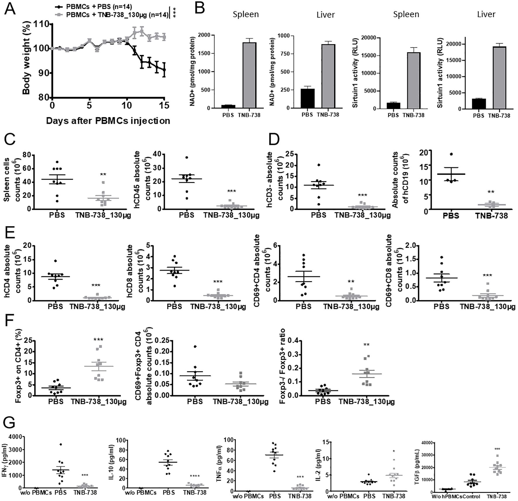 Composite image of multiple graphs and charts depicting scientific data related to body weight changes, enzyme activity, and immune cell counts following PBMCs injections combined with PBS or TNB-738 treatment. Panel A shows a line graph of body weight percentage over time. Panel B compares NAD+ levels and Sirtuin1 activity in spleen and liver. Panels C through F display scatter plots of various immune cell counts and ratios. Panel G illustrates cytokine levels in different conditions. Error bars and statistical significance markers are present in multiple graphs.