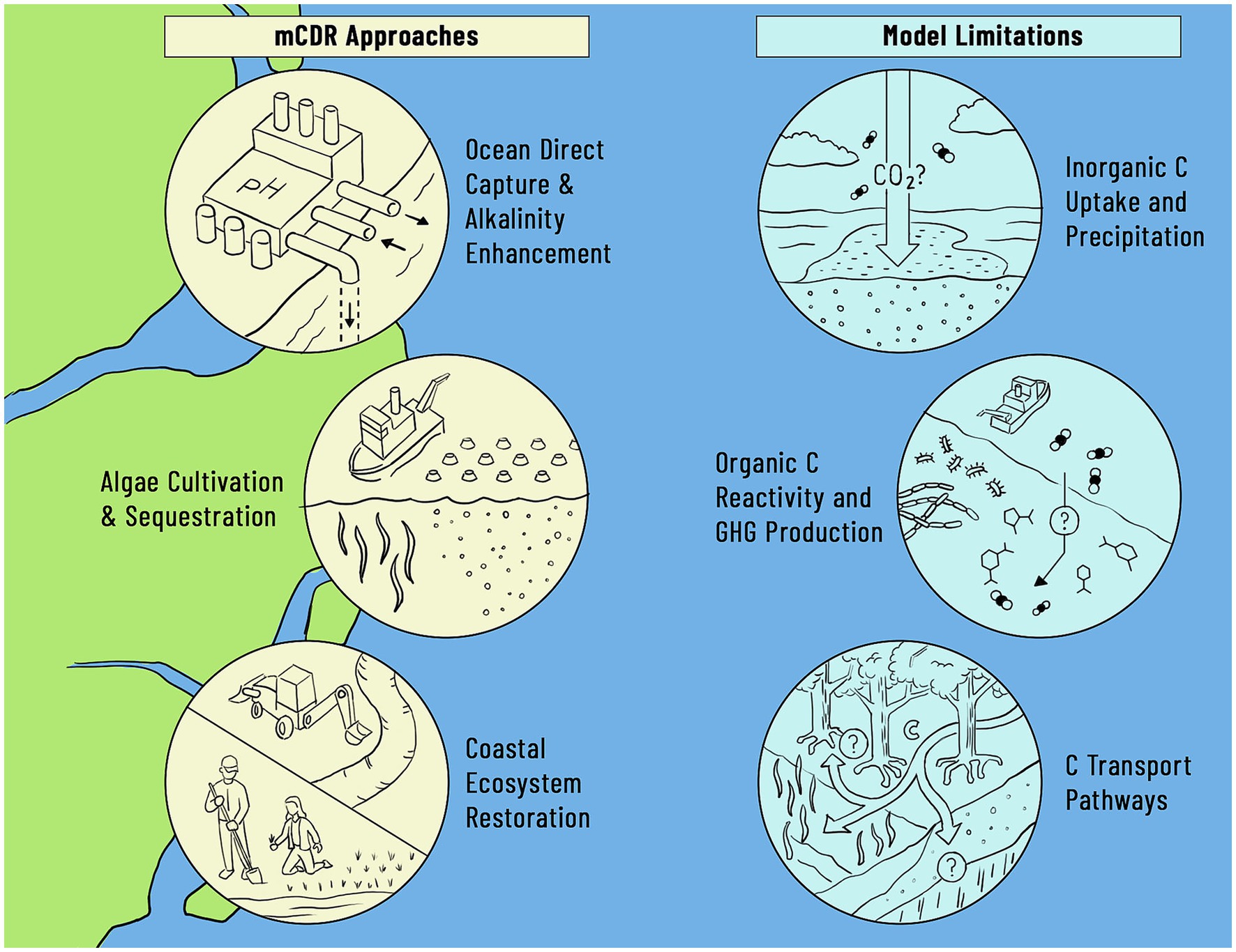 Diagram illustrating marine Carbon Dioxide Removal (mCDR) approaches and model limitations. Left side shows approaches: Ocean Direct Capture & Alkalinity Enhancement, Algae Cultivation & Sequestration, and Coastal Ecosystem Restoration. Right side depicts limitations: Inorganic Carbon Uptake and Precipitation, Organic Carbon Reactivity and Greenhouse Gas Production, and Carbon Transport Pathways. Each approach and limitation is represented by a circular illustration with a descriptive label.