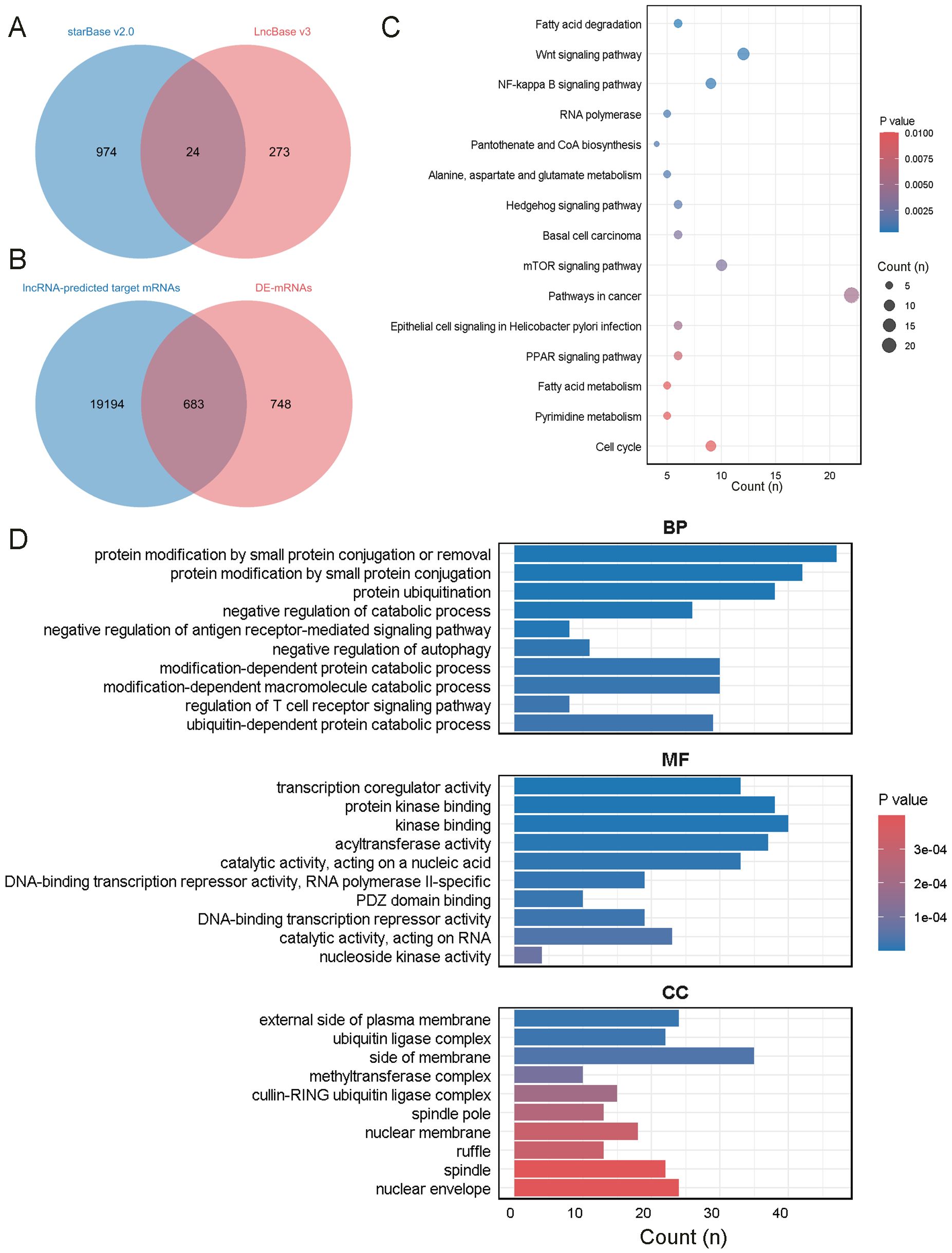 Venn diagrams, charts, and bar graphs depict various biomolecular interactions and pathways. Venn diagrams A and B show overlapping elements between databases and mRNAs. Chart C is a dot plot of signaling pathways with color-coded p-values. Section D contains bar graphs labeled BP, MF, and CC representing gene ontology categories, each bar indicating counts with color-coded p-values.