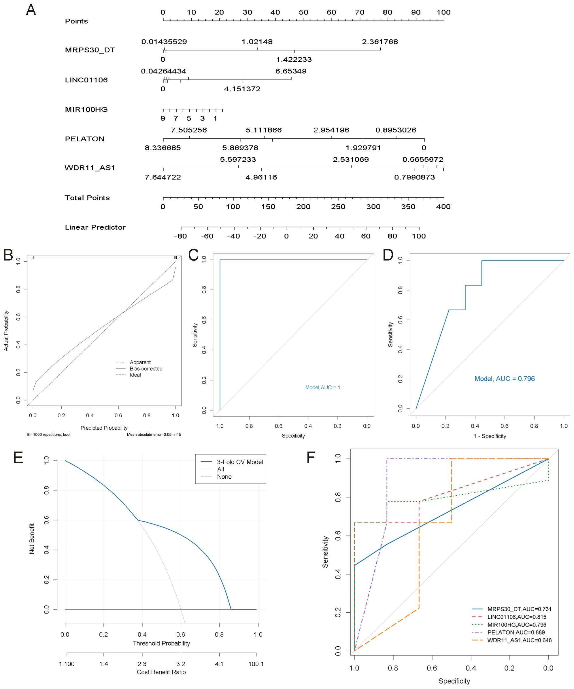 Panel A features a nomogram illustrating points for various predictors such as MRPS30_DT, LINC01106, and others. Panel B shows a calibration curve comparing actual vs. predicted probabilities with apparent and bias-corrected lines. Panel C presents a Receiver Operating Characteristic (ROC) curve with a perfect model AUC of 1. Panel D displays another ROC curve with a model AUC of 0.796. Panel E shows a decision curve analysis for threshold probability and net benefit. Panel F compares ROC curves for different predictors, listing their AUC values.