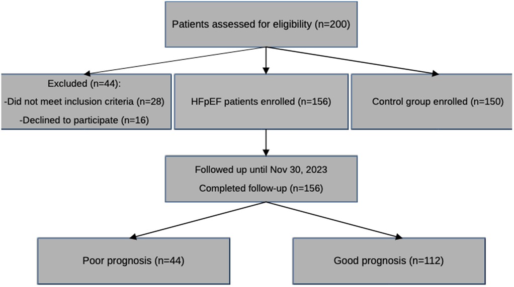 Flowchart showing the enrollment and follow-up process for a study. Out of 200 patients assessed, 44 were excluded. Of the remaining, 156 HFpEF patients and 150 control group patients were enrolled. All 156 HFpEF patients completed follow-up by November 30, 2023. Among them, 46 had poor prognosis with 40 rehospitalized and 6 deceased, while 110 had good prognosis, event-free at 1 year.
