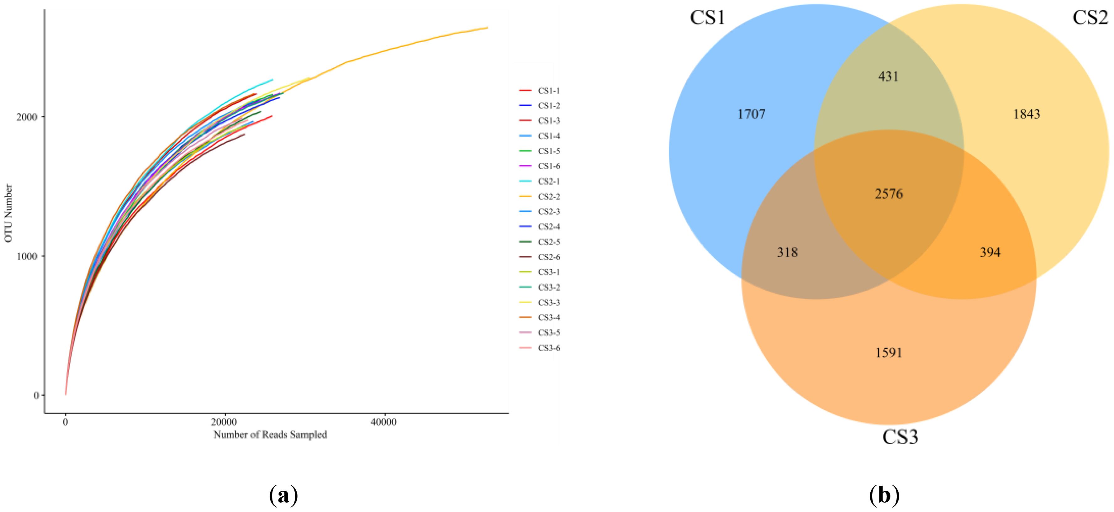 (a) A rarefaction curve graph showing OTU Number on the y-axis versus Number of Reads Sampled on the x-axis. Multiple line graphs in different colors represent data from CS1-1 to CS3-6. (b) A Venn diagram with three overlapping circles labeled CS1, CS2, and CS3. Sections show the numbers: 1707, 431, 1843, 2576, 318, 394, and 1591.