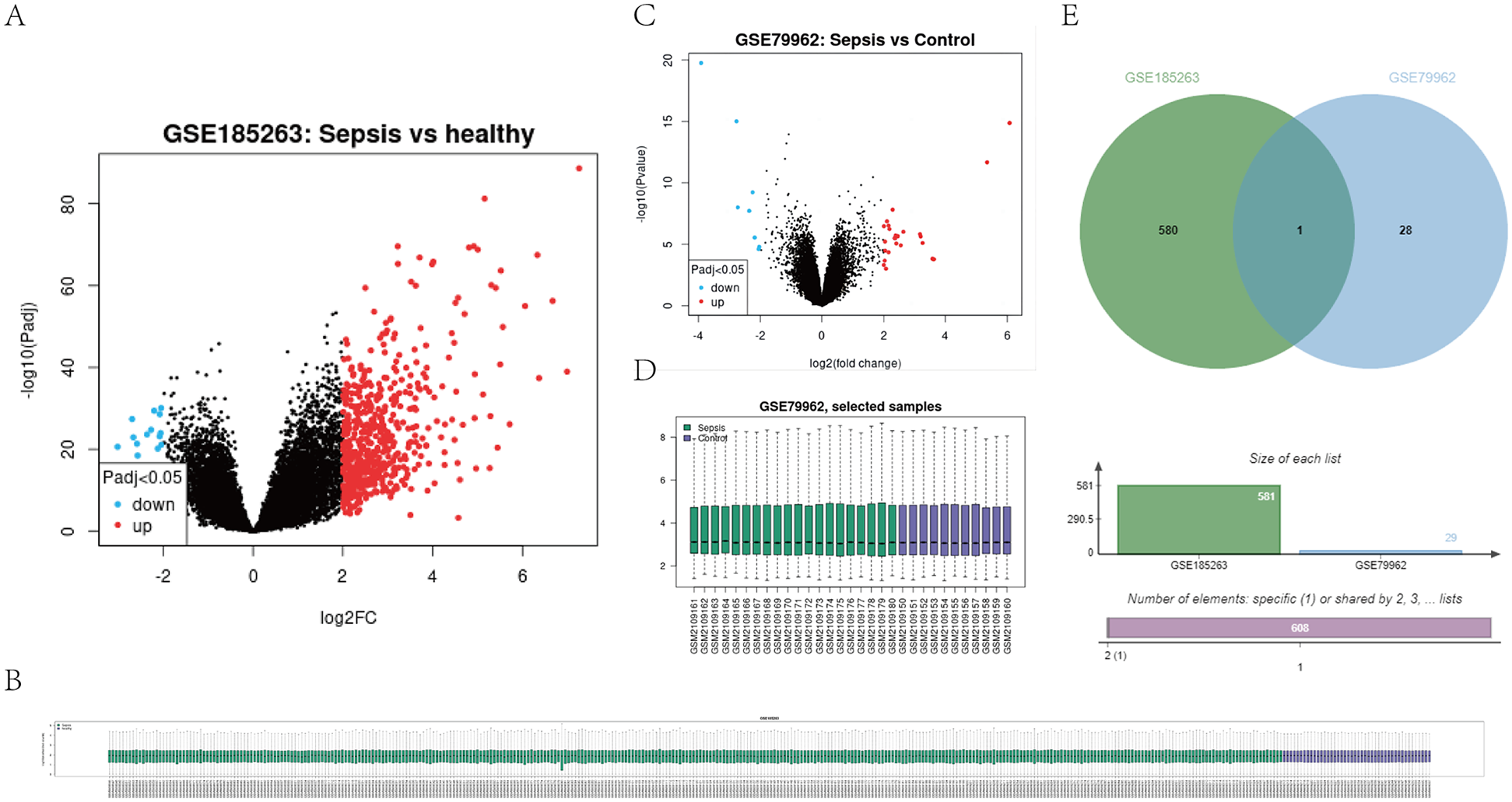 Panel A shows a volcano plot for GSE185263, indicating gene expression differences between sepsis and healthy samples. Panel B displays a sample clustering heatmap for GSE185263. Panel C presents a volcano plot for GSE79962, comparing sepsis and control samples. Panel D shows a box plot of selected samples from GSE79962. Panel E features a Venn diagram comparing datasets GSE185263 and GSE79962, indicating one shared element and specific numbers of unique elements in each set.