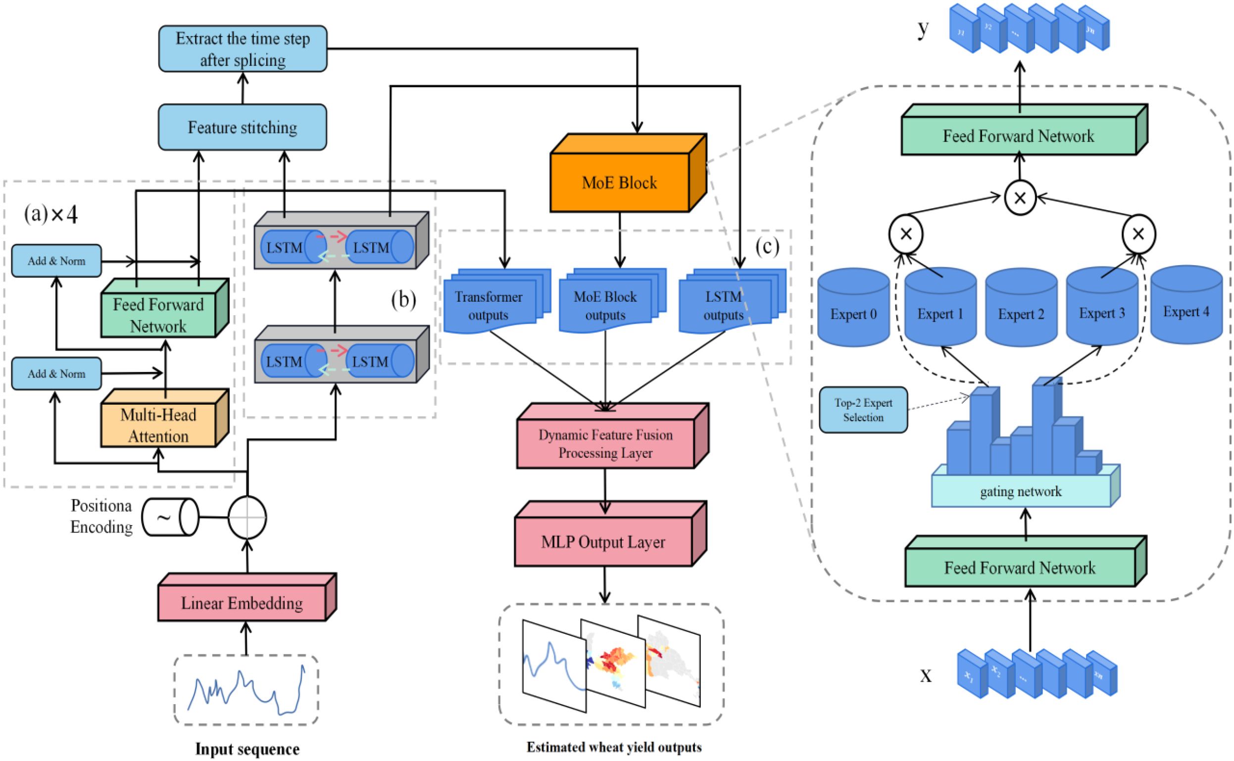Flowchart of a neural network model for wheat yield estimation. It includes input sequences processed through linear embedding, positional encoding, and a transformer with multi-head attention. Features are stitched and fed into LSTM and MoE blocks. Outputs are combined via a dynamic feature fusion layer, followed by an MLP output layer. A gating network selects the top two experts for feed-forward networks to generate the final estimate.