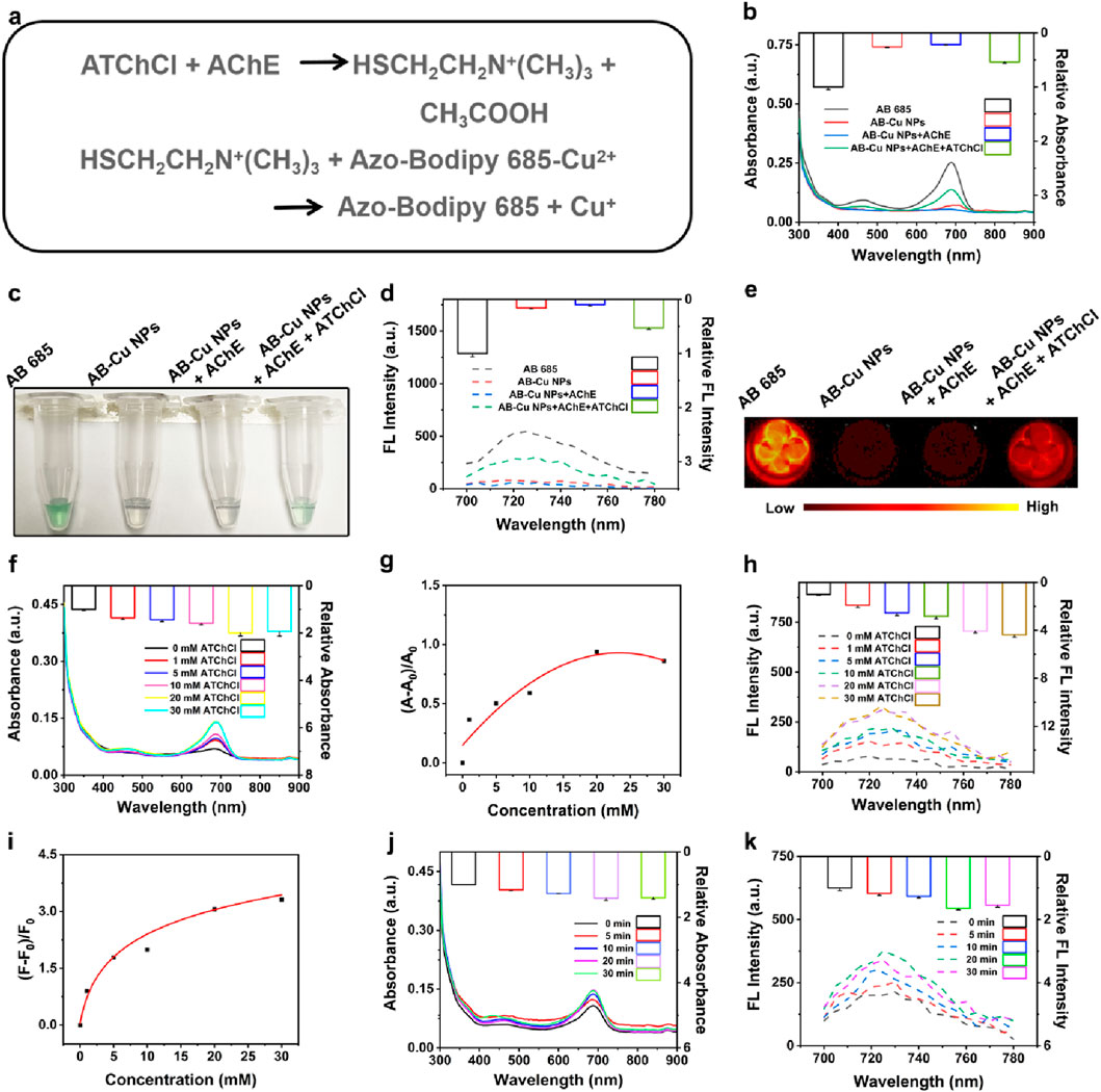 A multi-panel figure illustrating chemical reactions, experimental setups, and data plots. Panel (a) shows chemical equations involving ATChCl, AChE, and Azo-Bodipy 685-Cu²⁺. Panel (b) is an absorbance graph showing different samples. Panel (c) displays test tubes with varying solutions. Panel (d) is a fluorescence intensity graph. Panel (e) shows an image of samples with a color bar indicating low to high intensity. Panels (f) and (j) plot absorbance versus wavelength for different concentrations or times. Panels (g) and (i) show concentration versus absorbance or fluorescence readings. Panel (h) plots fluorescence intensity against wavelength for varying concentrations.