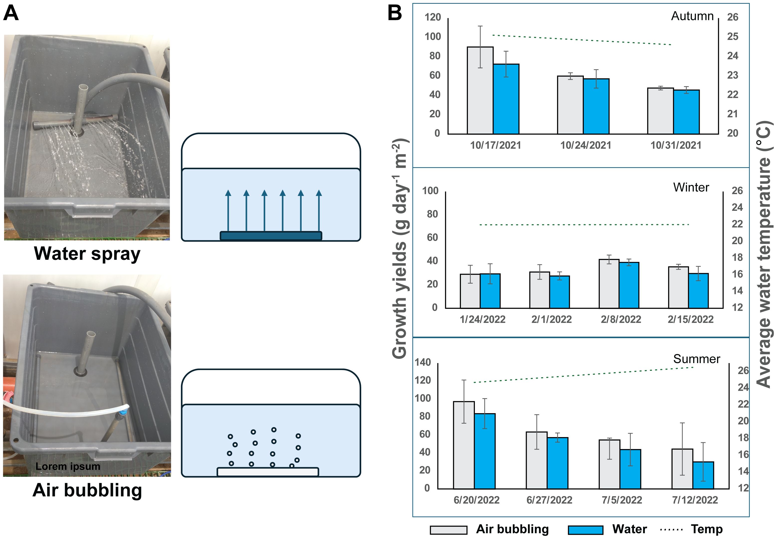 Panel A shows two setups: water spray and air bubbling. The water spray setup involves a pipe spraying water upward, while the air bubbling setup has air bubbles rising from a bottom fixture. Panel B is a series of bar charts comparing growth yields of two methods—air bubbling and water spray—over different seasons: autumn, winter, and summer. Growth yields are measured in grams per day per square meter, and the average water temperature is also indicated.