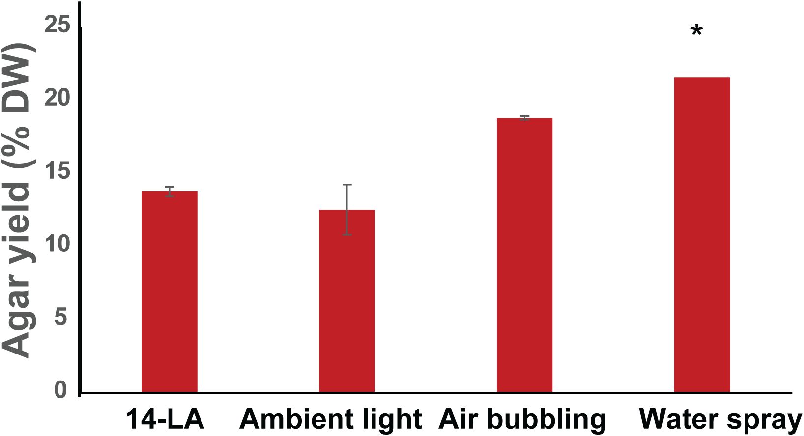 Bar chart showing agar yield as a percentage of dry weight under four conditions: 14-LA, Ambient light, Air bubbling, and Water spray. Water spray has the highest yield at around 25%, marked with an asterisk, while the other conditions range from 10% to 15%.
