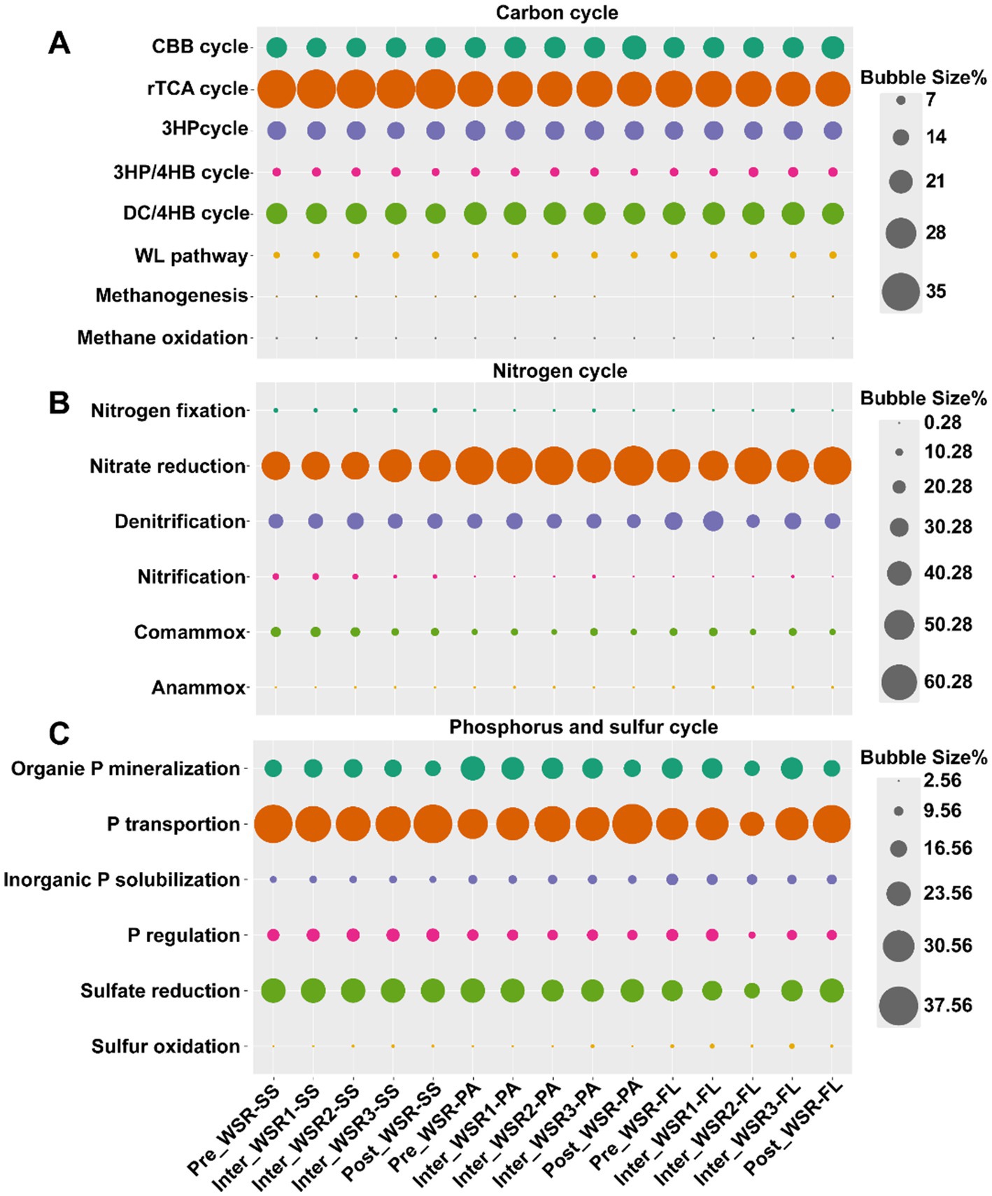 Bubble chart illustrating microbial functions in biogeochemical cycles across different treatment conditions. Panel A: Carbon cycle functions such as CBB cycle and methanogenesis. Panel B: Nitrogen cycle functions like nitrogen fixation and nitrification. Panel C: Phosphorus and sulfur cycle functions, including P mineralization and sulfur oxidation. Bubble size represents percentage values, with a legend indicating sizes.