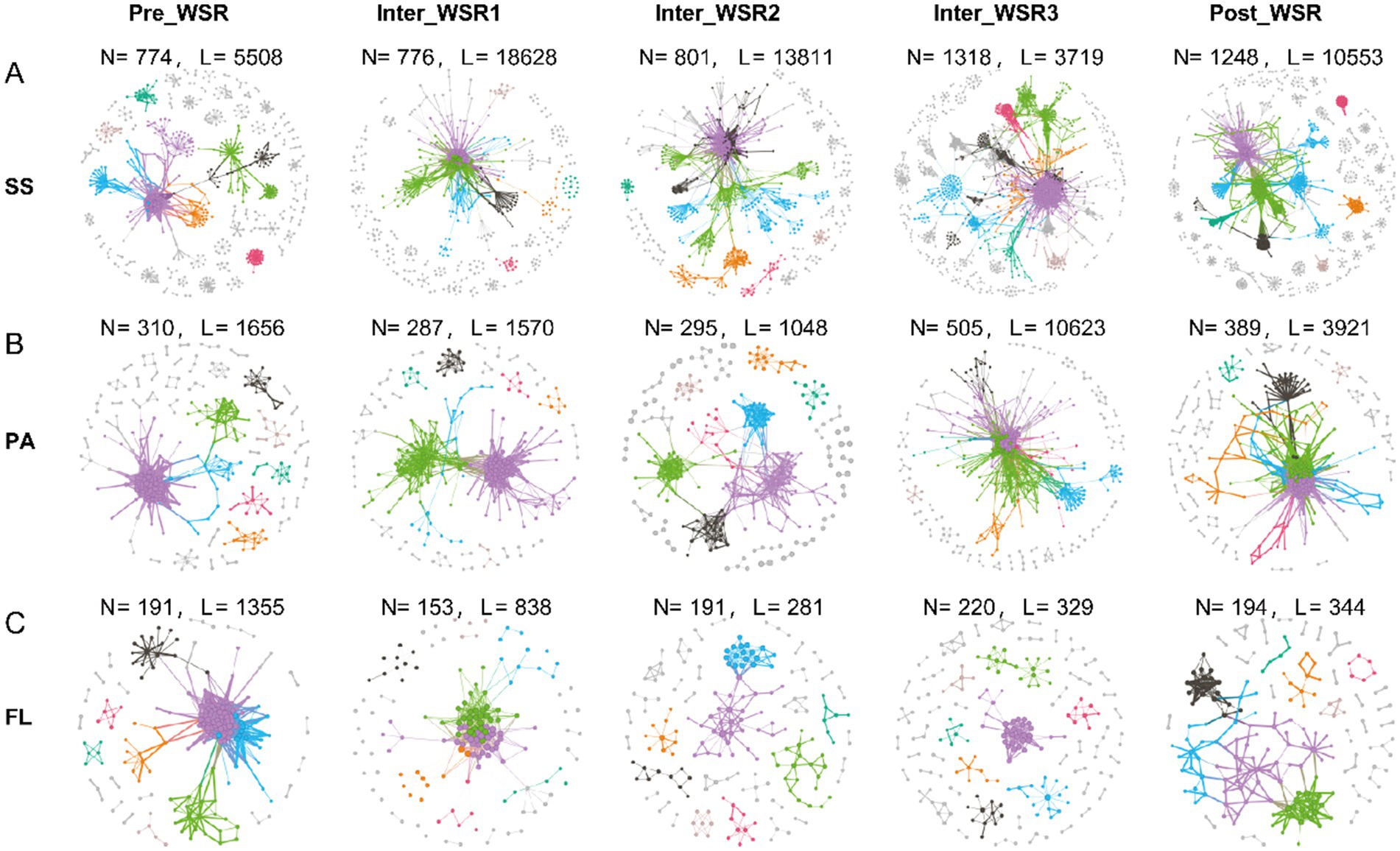 Graphical network diagrams depicting connections across three rows labeled SS, PA, and FL, each with five columns: Pre_WSR, Inter_WSR1, Inter_WSR2, Inter_WSR3, and Post_WSR. Each diagram shows nodes and links in various colors, with node (N) and link (L) counts varying in each column.