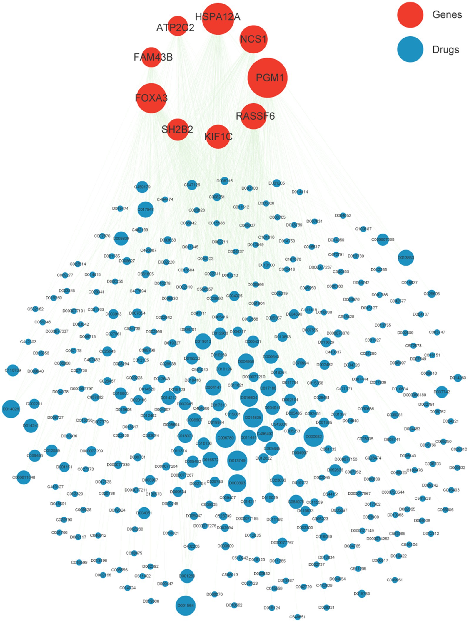 Network visualization diagram showing interactions between genes and drugs. Red circles represent genes, notably HSPA12A and PGM1, while blue circles indicate drugs. The size of circles varies, likely denoting significance or connectivity, with many lines indicating complex interactions.