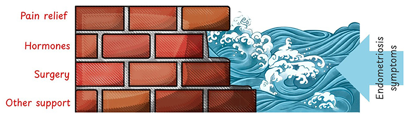 Illustration of a brick wall labeled with "Pain relief," "Hormones," "Surgery," and "Other support." Waves labeled "Endometriosis symptoms" crash against the wall. The imagery symbolizes treatments as barriers against symptoms.