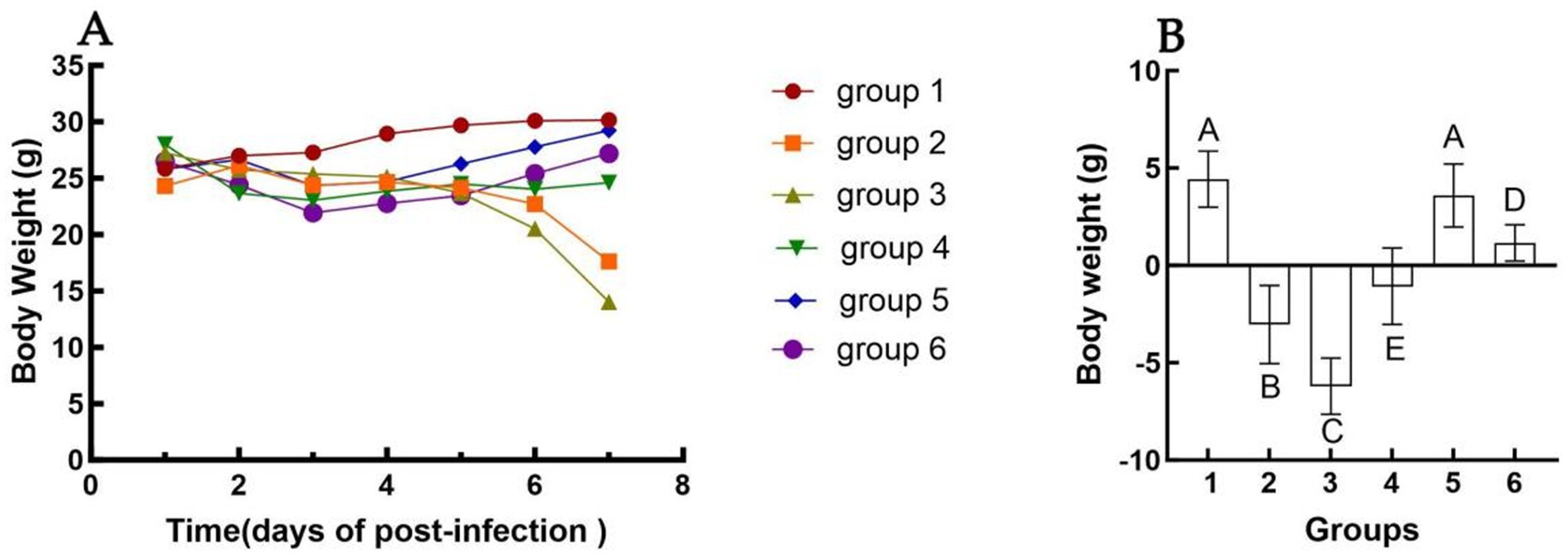 Graph A shows body weight over time post-infection for six groups, with slight fluctuations around 25 to 30 grams. Graph B displays body weight changes in each group, with groups one and five showing positive gains and groups two, three, four, and six showing losses.