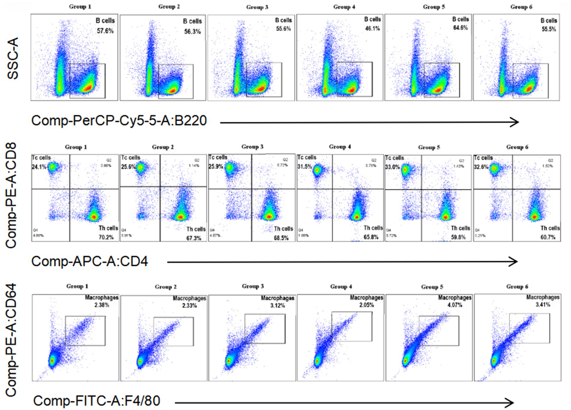 Flow cytometry analysis displaying scatter plots for six groups. The first row shows B cells, the second row shows T-cytotoxic (Tc) and T-helper (Th) cells, and the third row shows macrophages. Percentages are indicated for each cell type in each group. Axes represent specific fluorescent markers used in the analysis.