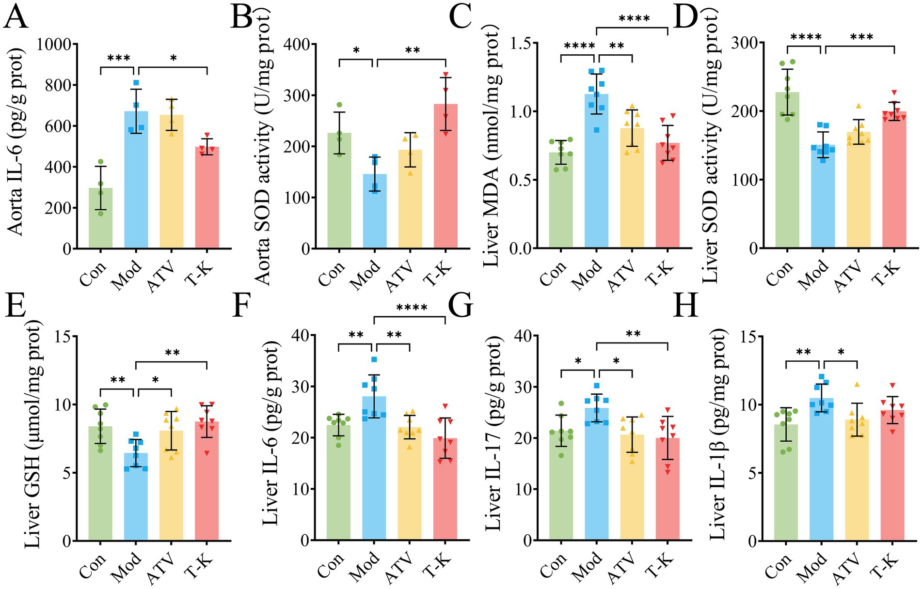 Bar charts A to H compare different biological parameters across four groups: Con, Mod, ATV, and T-K. Each chart measures different parameters like IL-6, SOD activity, MDA, and others, marked with statistical significance levels from one to four asterisks. Error bars indicate variations within the data.